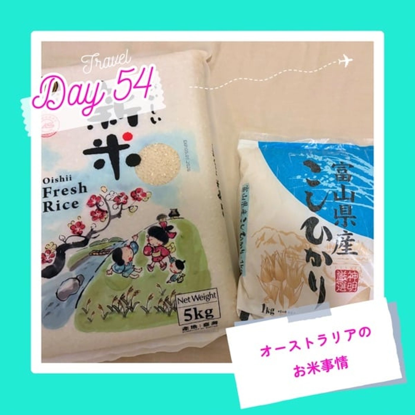 子連れMBA留学日記 in シドニー