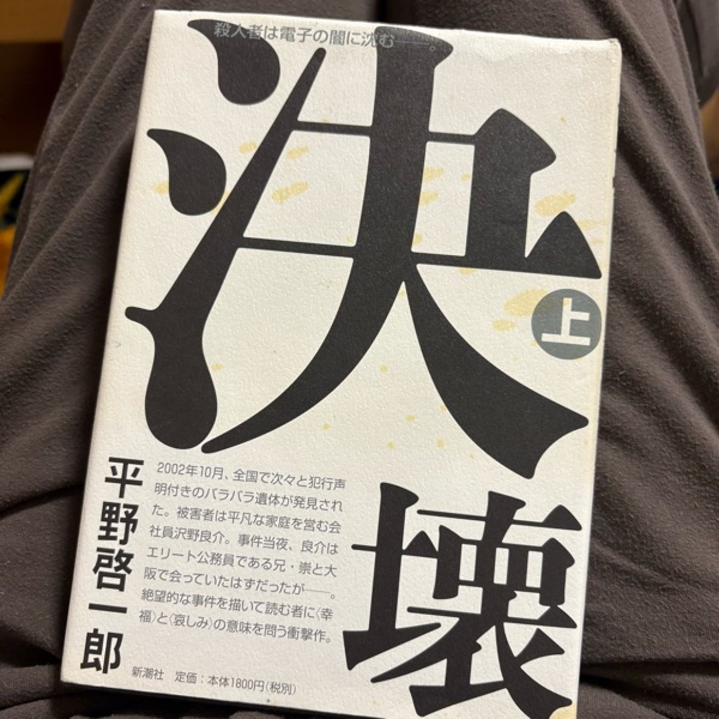 『決壊・上』の後半：多様性を認めるには条件つきなのかもしれない episode artwork