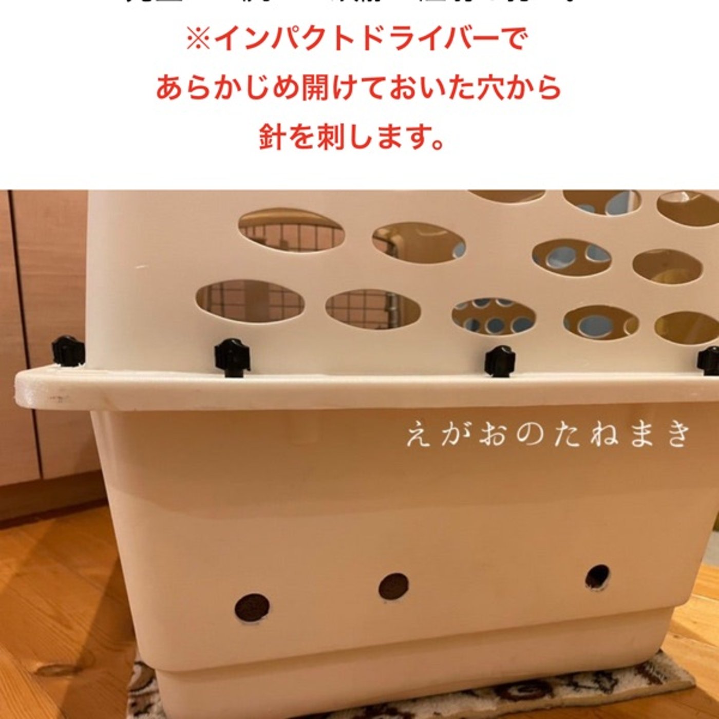 ソラとの暮らしで人間側が受け入れたこと episode artwork