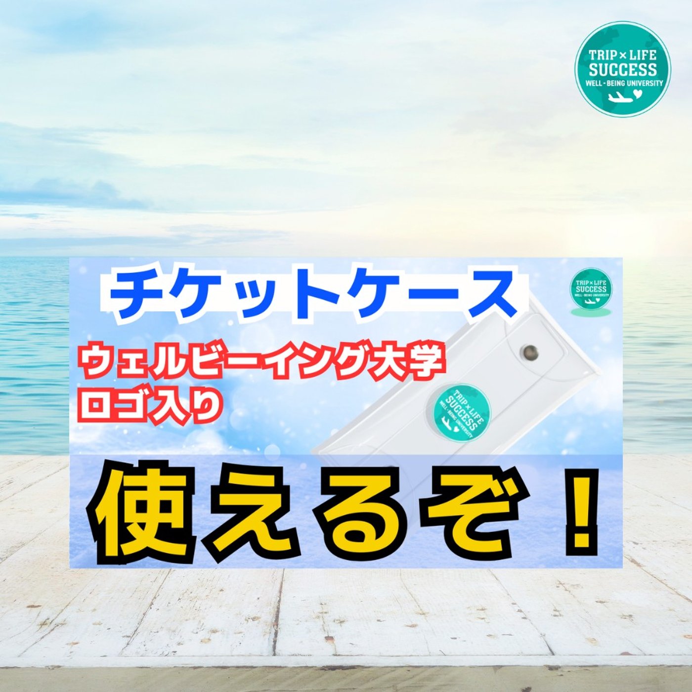 【ご紹介】ウェルビーイング大学 のチケットケースをレビュー！ episode artwork