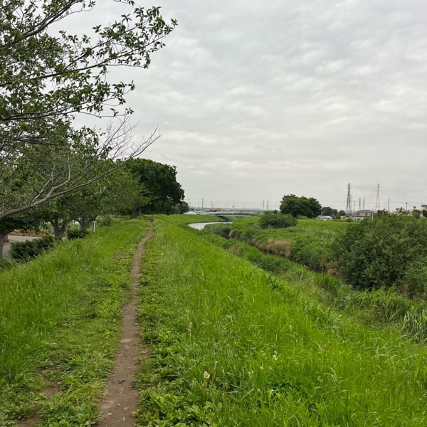 #1057 ツールド茅ヶ崎で悶絶