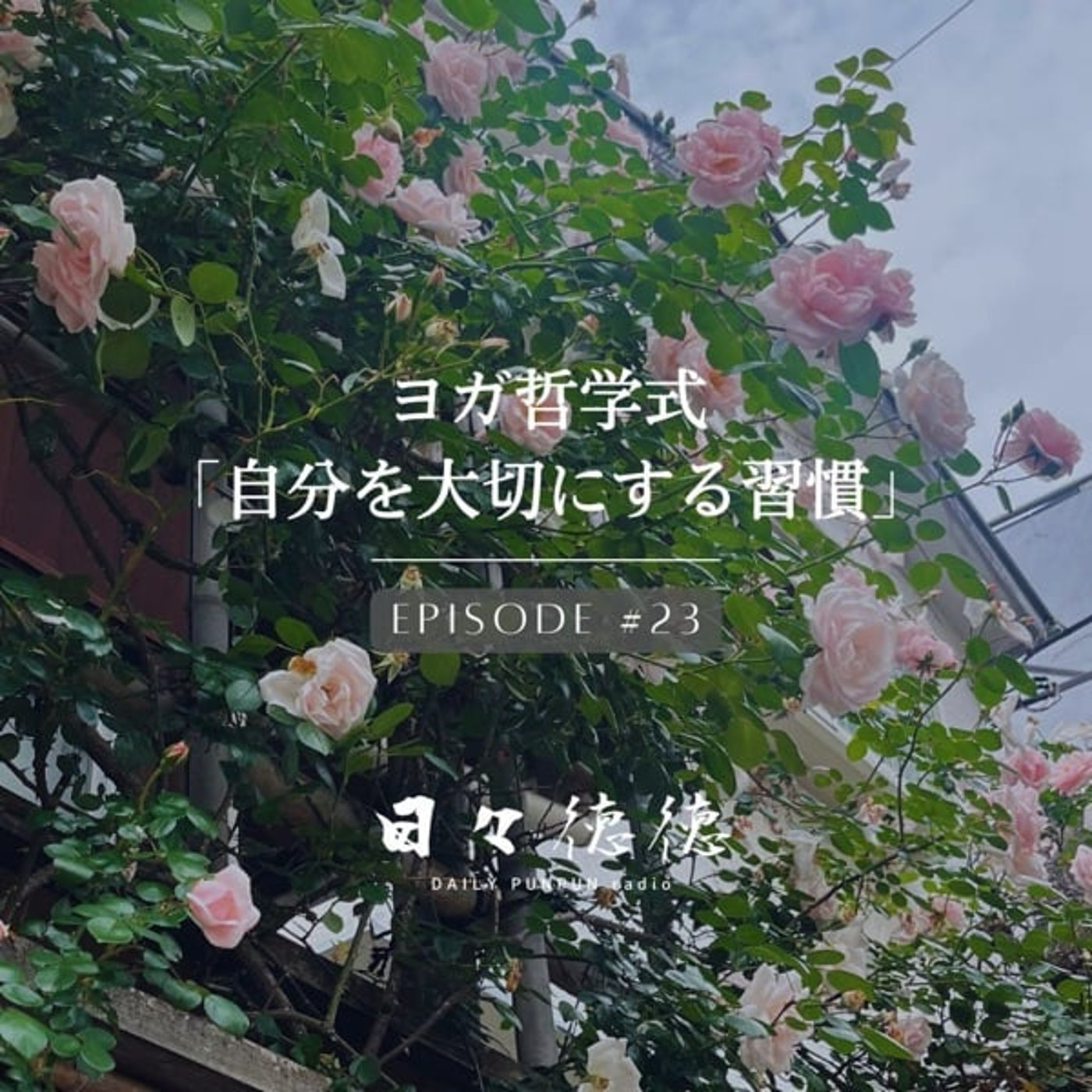 #23d 【瞑想・ディヤーナ】ヨガ哲学式「自分を大切にする習慣」 episode artwork