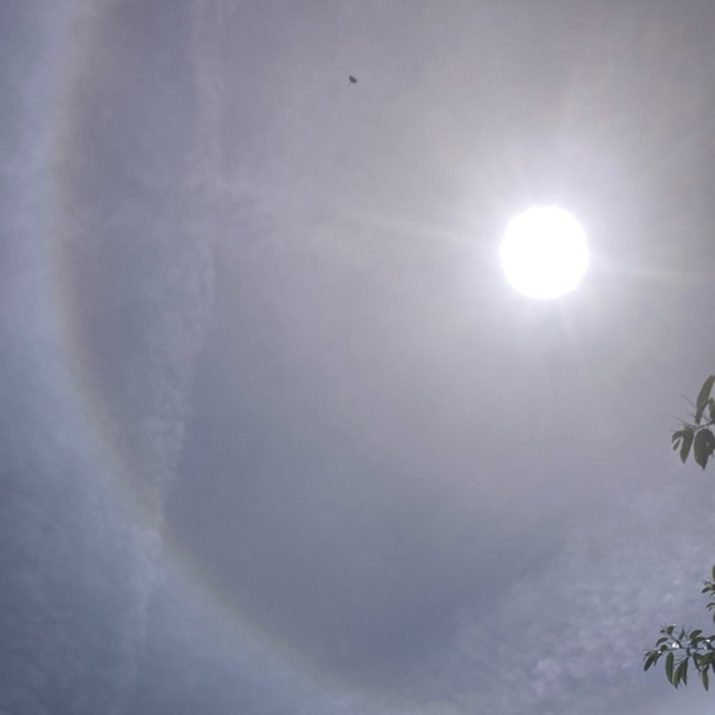 Ep.022 空海と音読 Ep.022 空海と音読