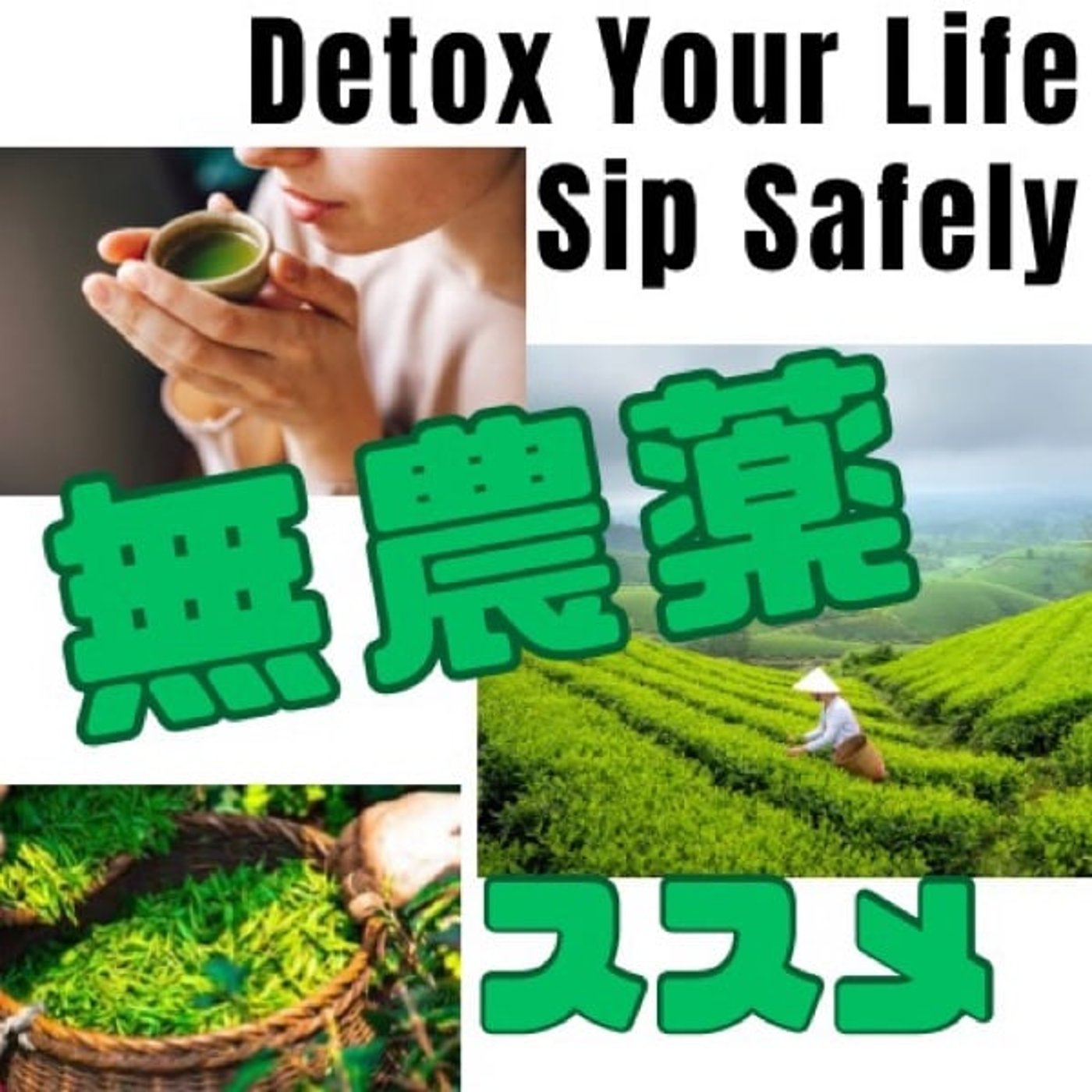 農薬デトックス！無農薬のお茶のススメ