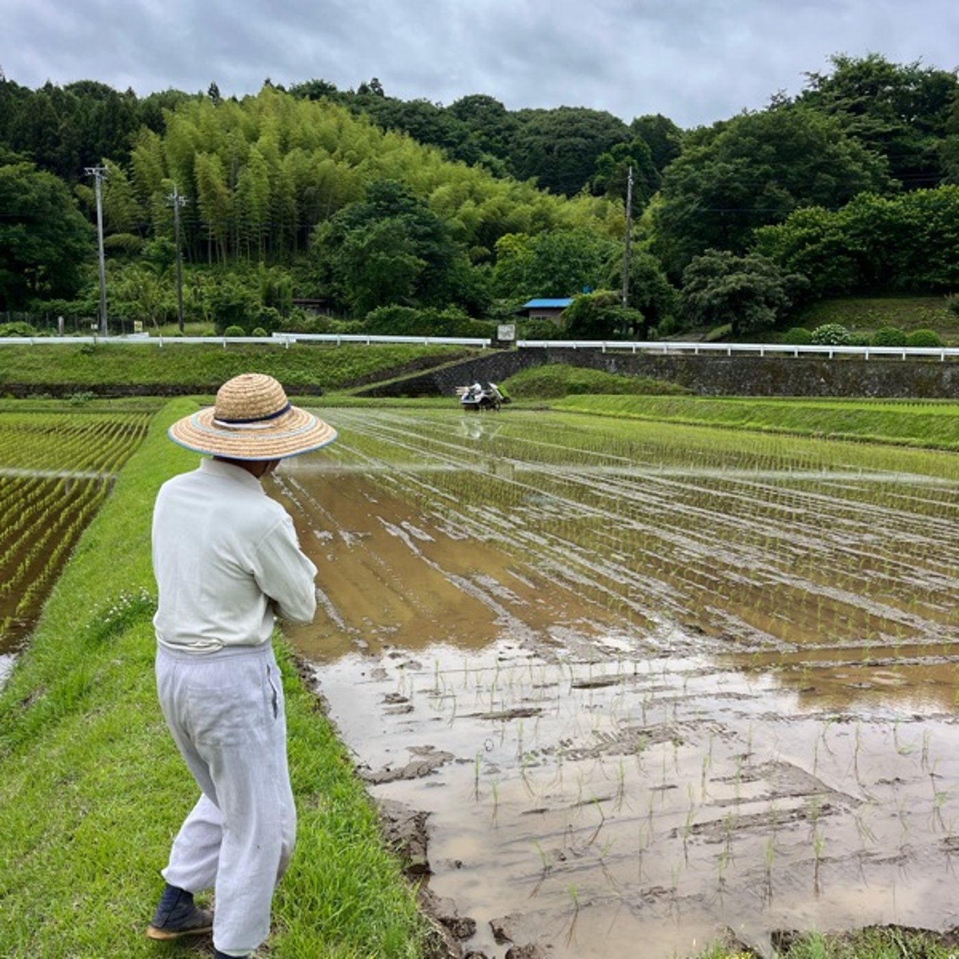 #1061 田植え第一弾