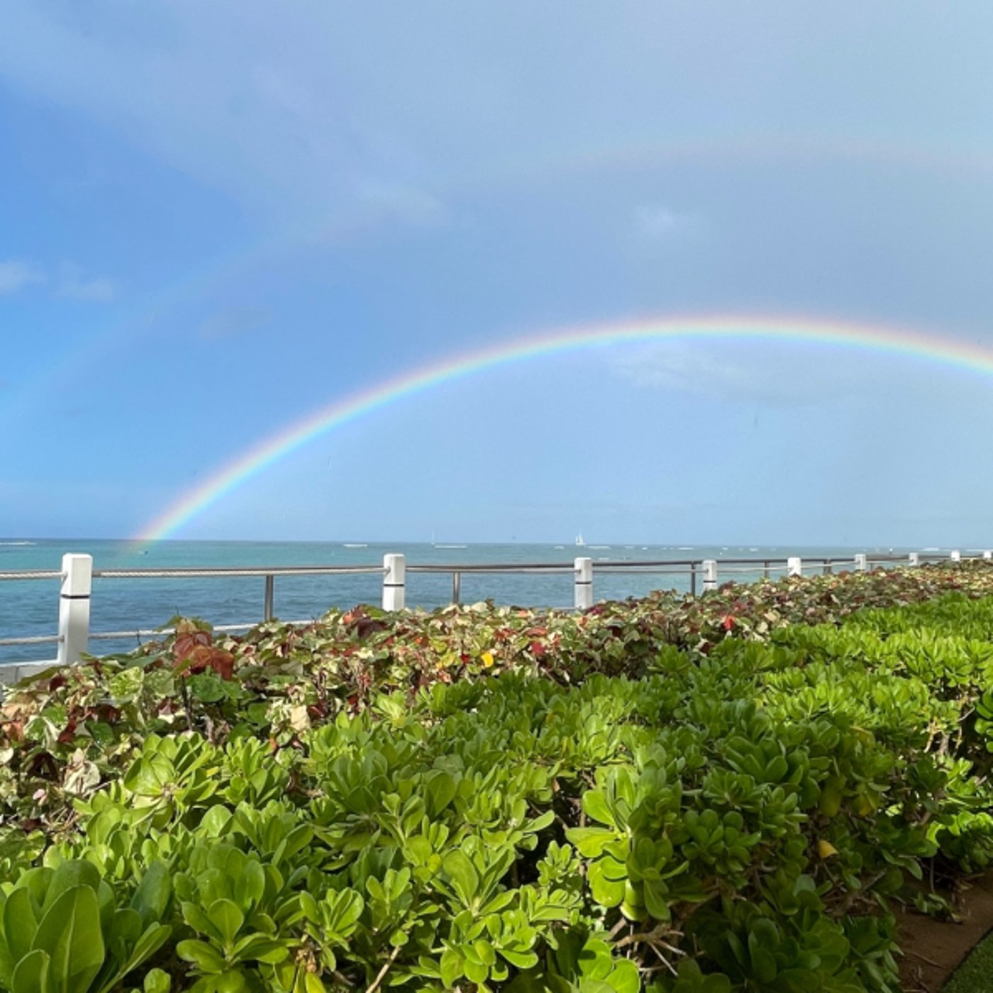 ハワイ⭐︎直感を磨くためのヒント✨10分朝ワーク♪ ハワイ⭐︎直感を磨くためのヒント✨10分朝ワーク♪