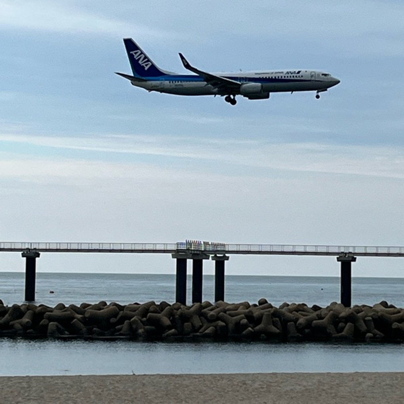海まで来てみました episode artwork