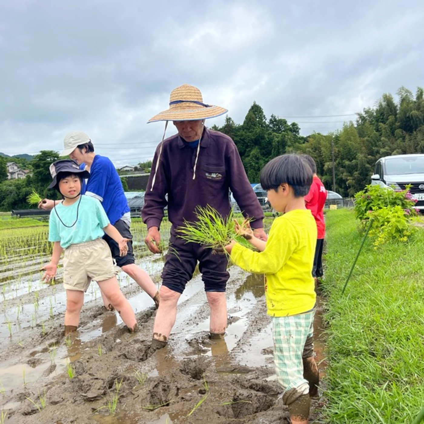 #1067 【風の谷通信】田植えイベントへ参加しました
