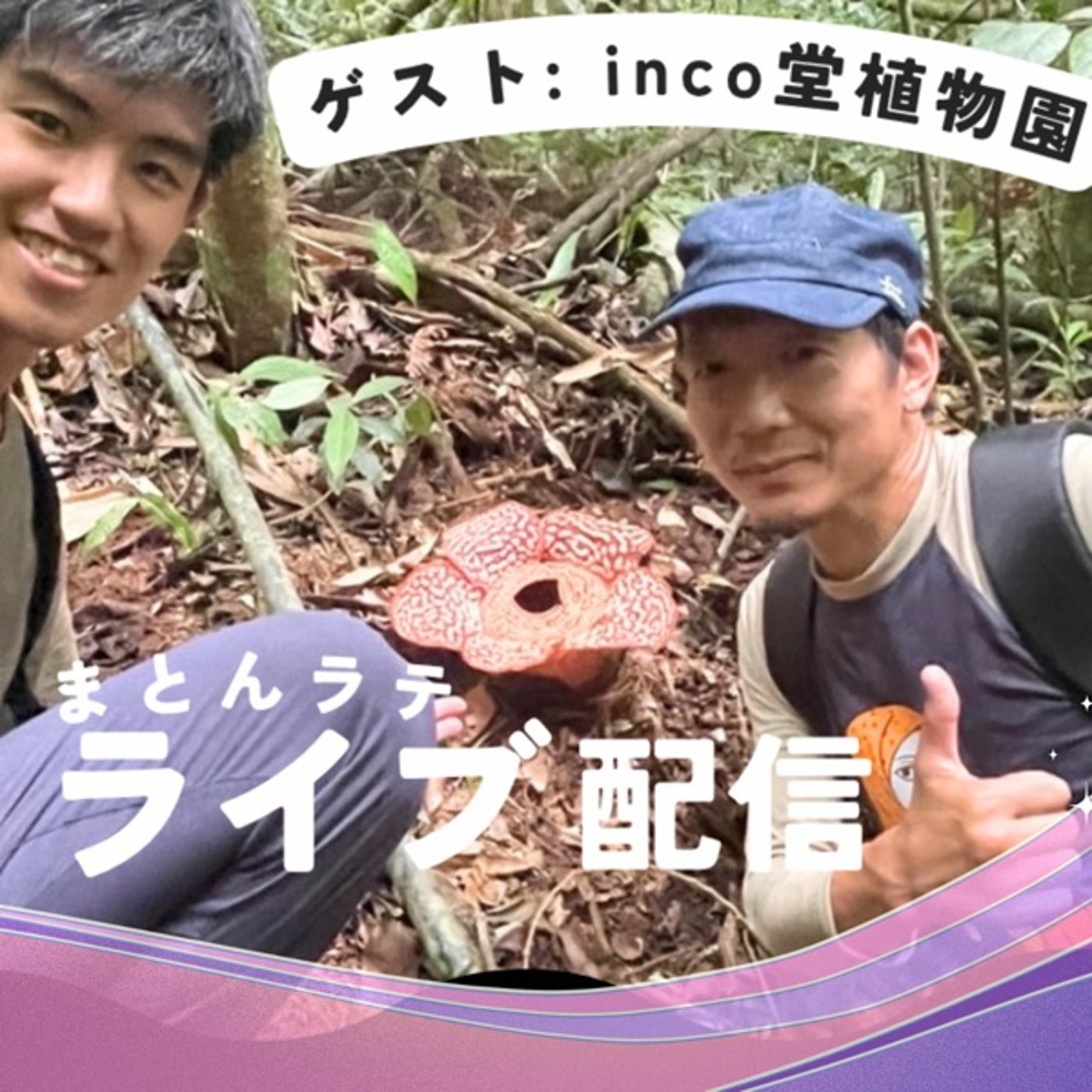 まとんラテ⭐︎japon×espana #01 【ゲストライブ】inco堂植物園 episode artwork
