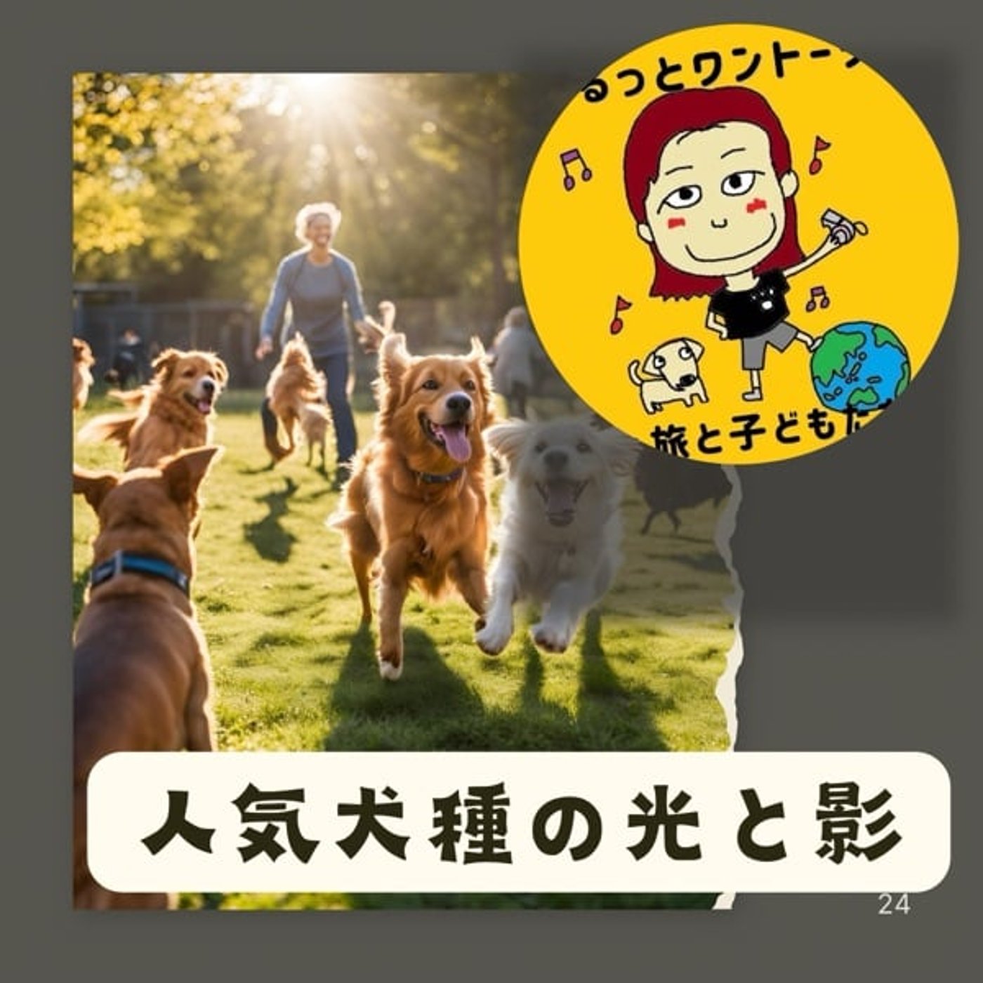 《人気犬種の光と影》Mダックス(5位)飼う前にチェック❣毛色×毛質×性格傾向🐶 《人気犬種の光と影》Mダックス(5位)飼う前にチェック❣毛色×毛質×性格傾向🐶