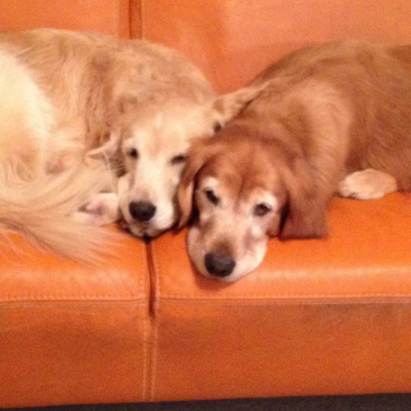 生まれ変わり⭐︎直感を磨くためのヒント✨10分朝ワーク♪ 生まれ変わり⭐︎直感を磨くためのヒント✨10分朝ワーク♪