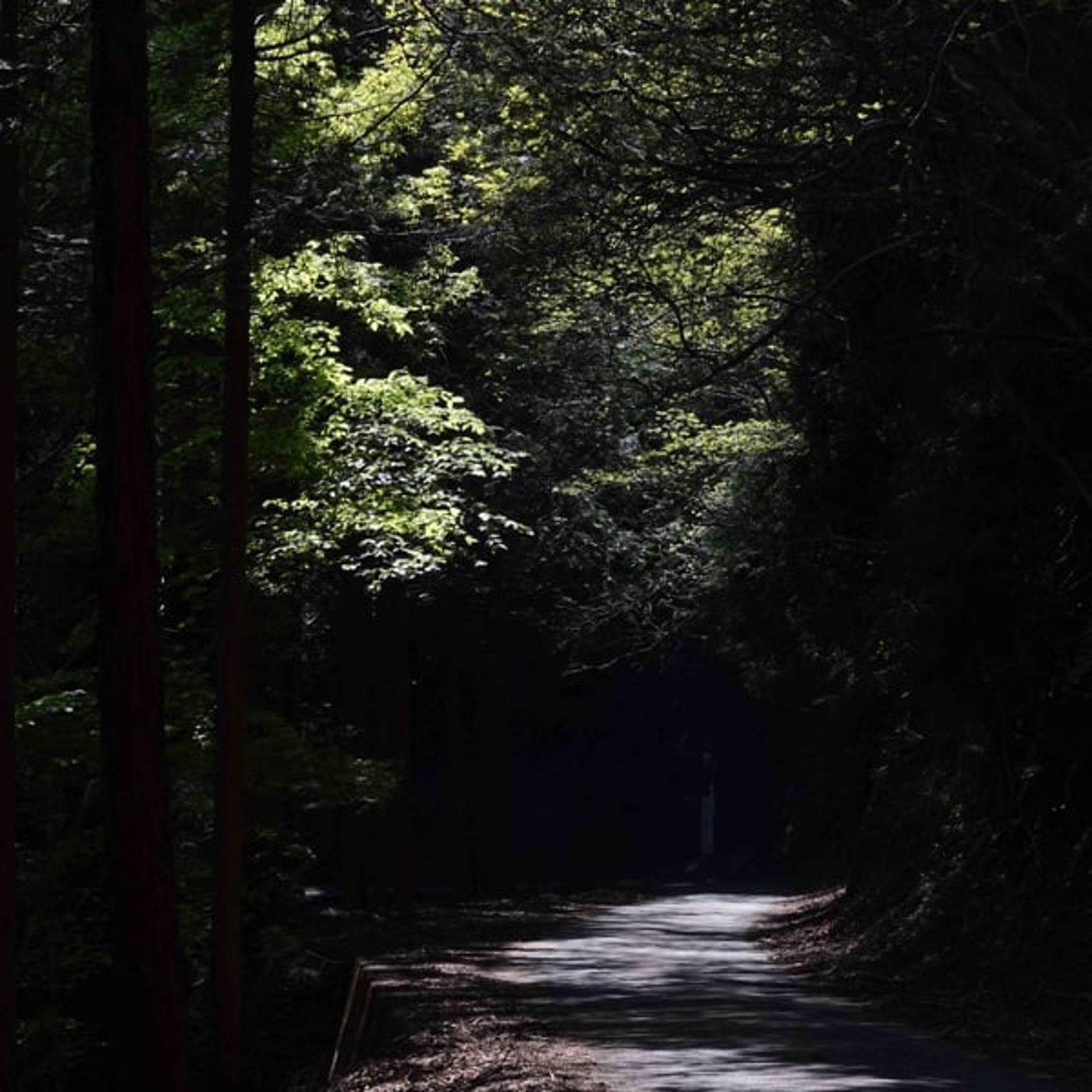 【リクエスト応答】悪いことばかりが続くのですが
