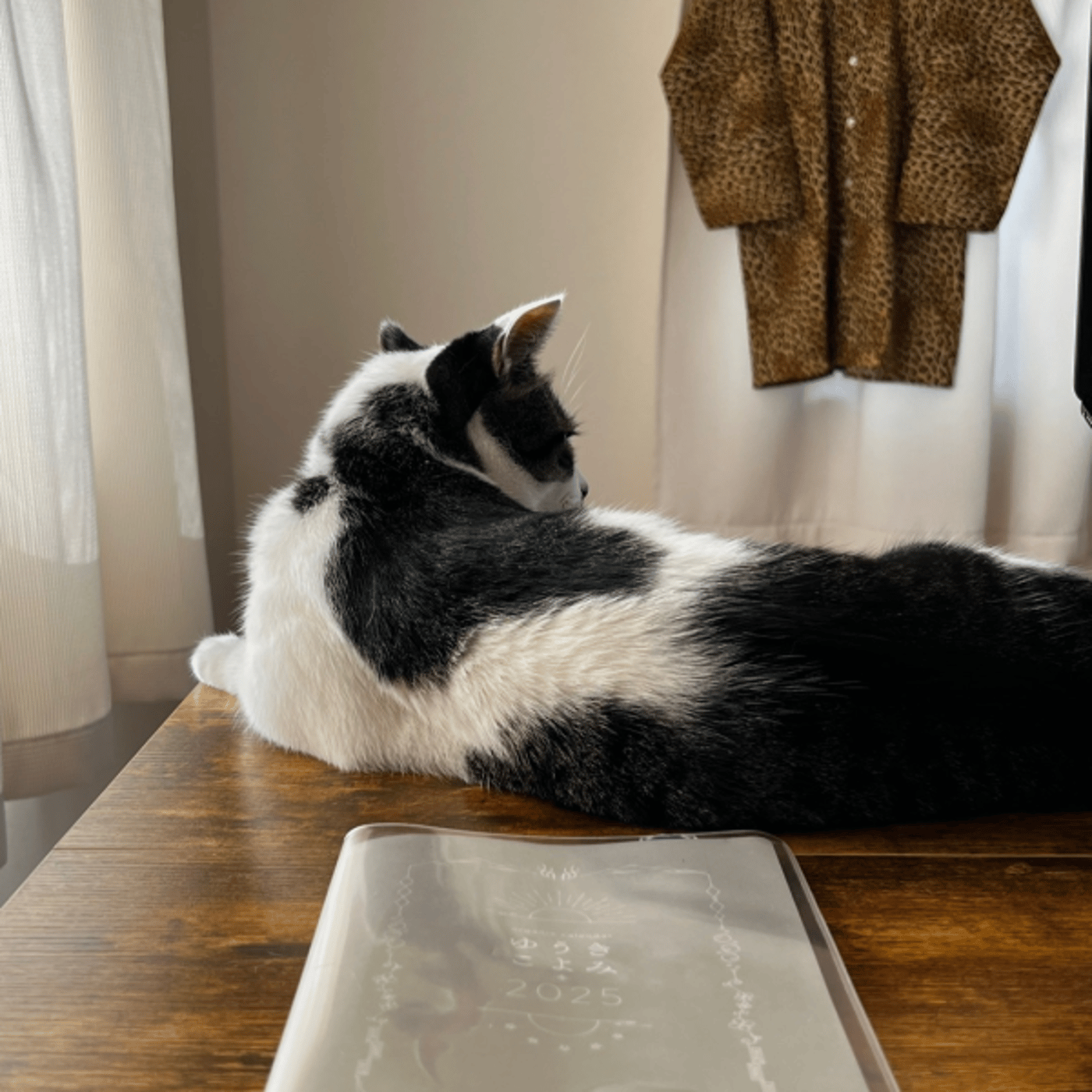 部位に絞った本気の休息デザイン episode artwork