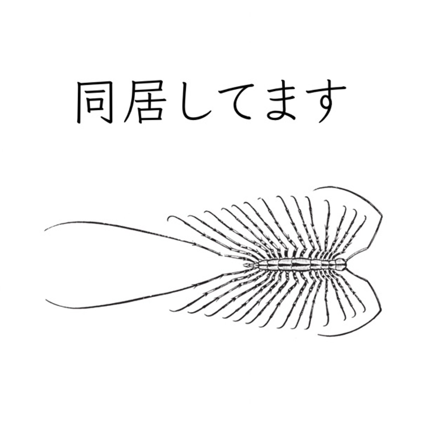 衣替えと言う名のハードル｜ASD姉妹と向き合う私の試行錯誤 episode artwork