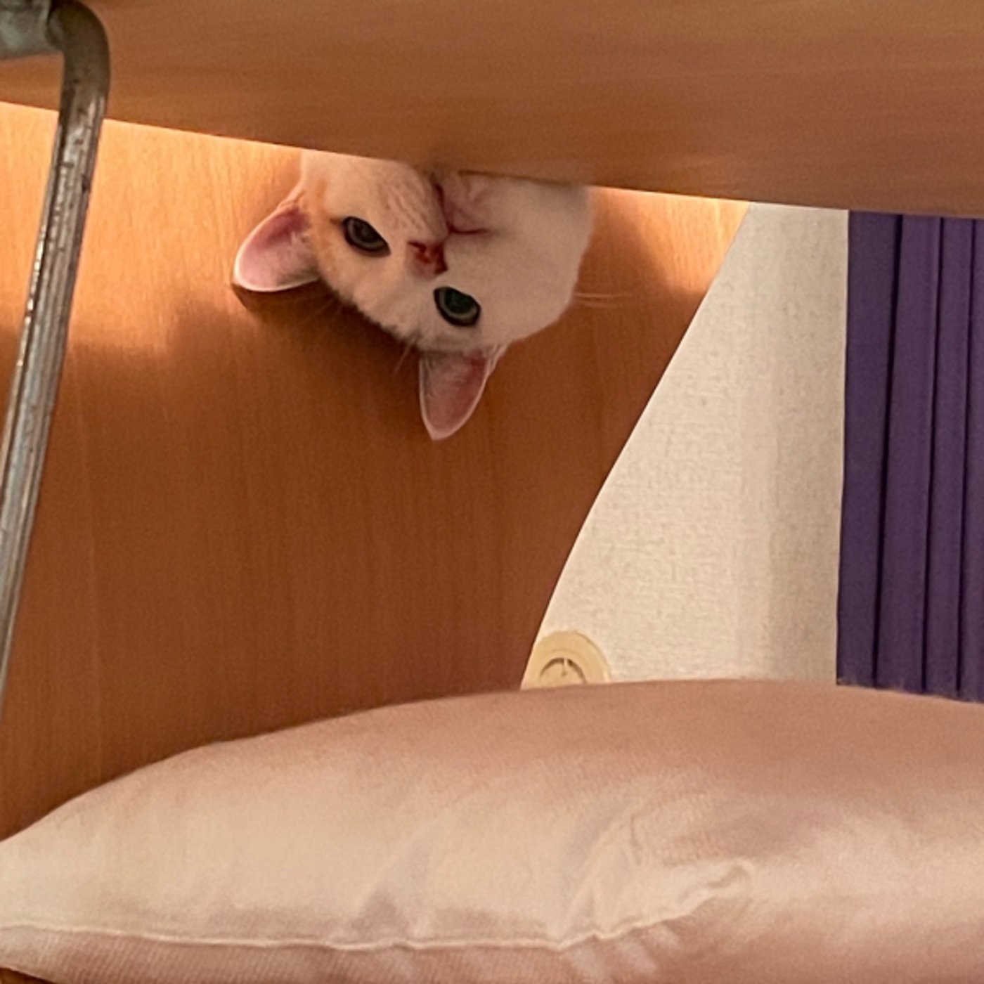 特異点・restart⭐︎直感を磨くためのヒント✨10分朝ワーク♪ 特異点・restart⭐︎直感を磨くためのヒント✨10分朝ワーク♪