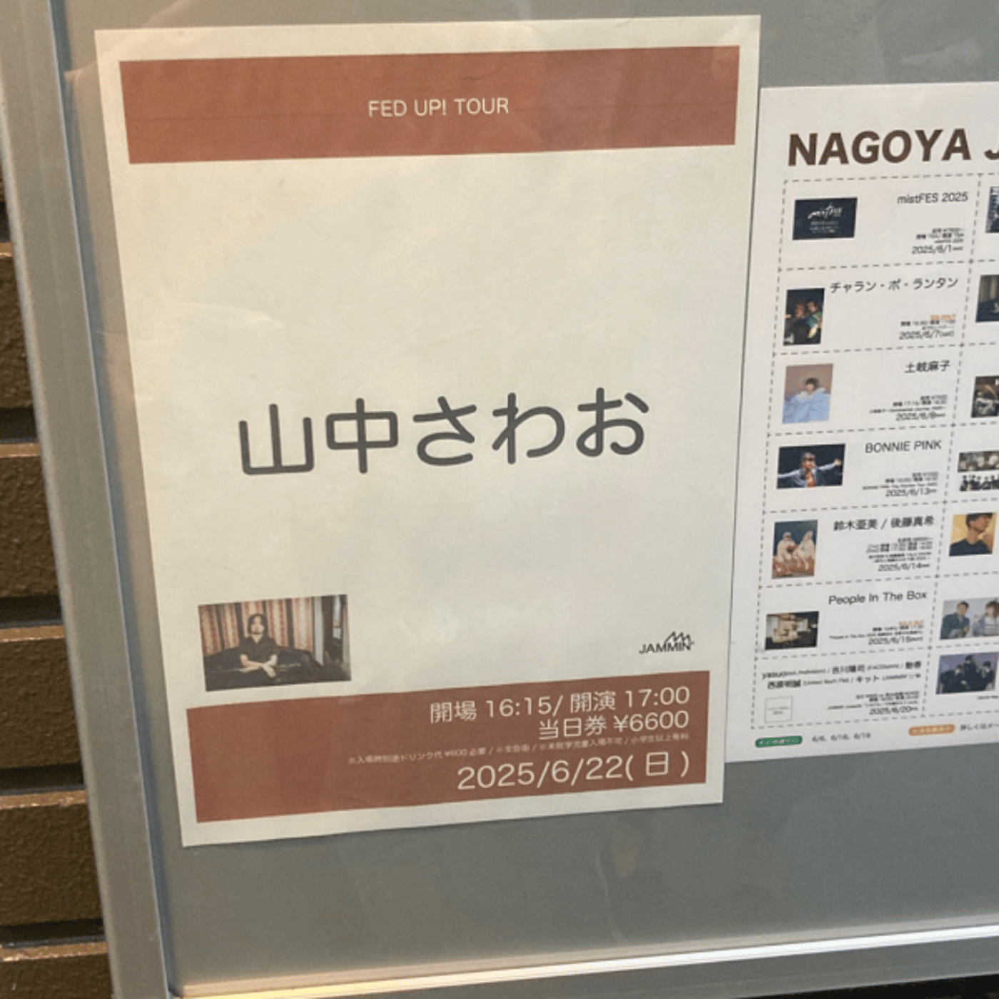 ピロウズが解散しても山中さわおの音は鳴り続ける episode artwork
