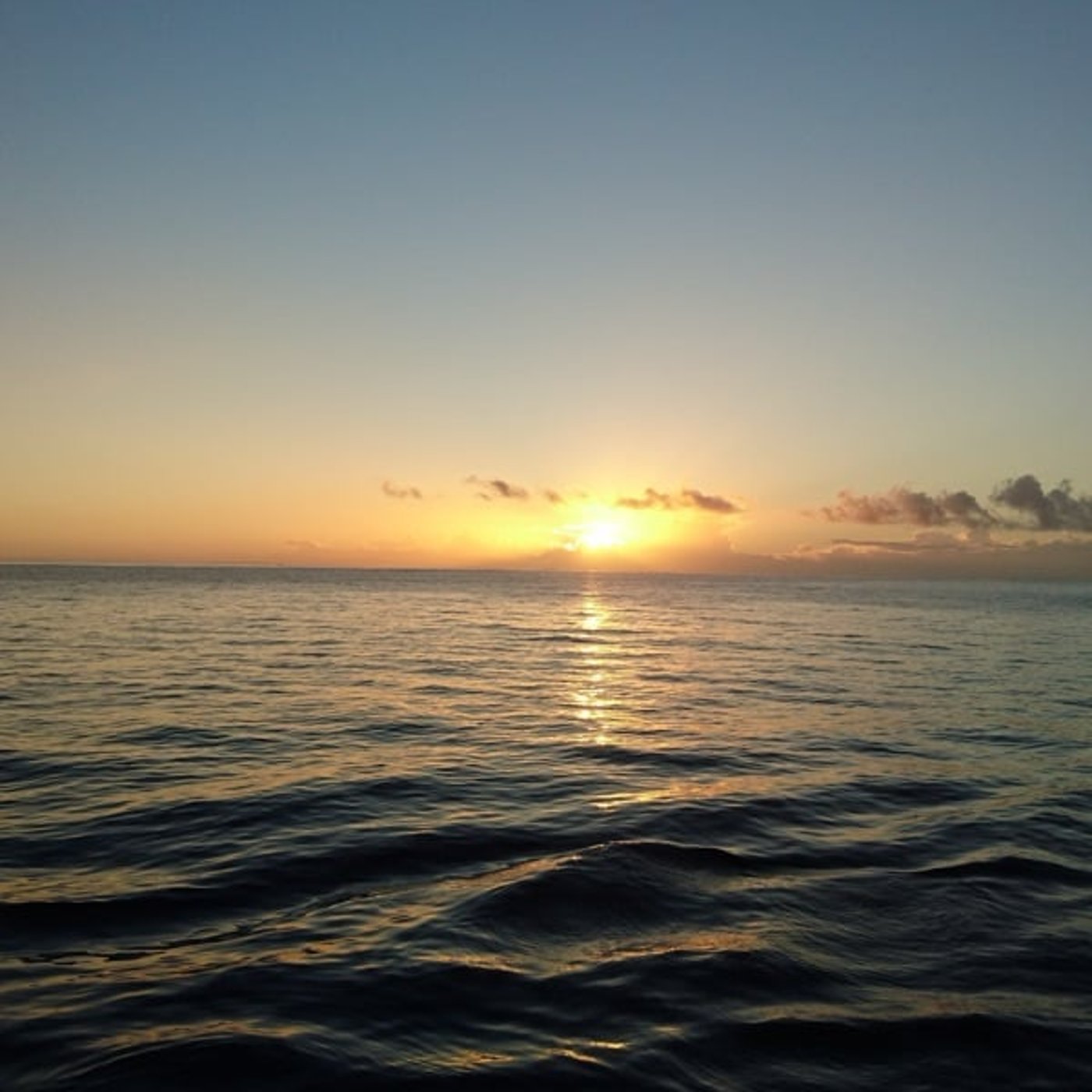 #12 資格は「テコ」にすぎない──資格のその先にあるもの