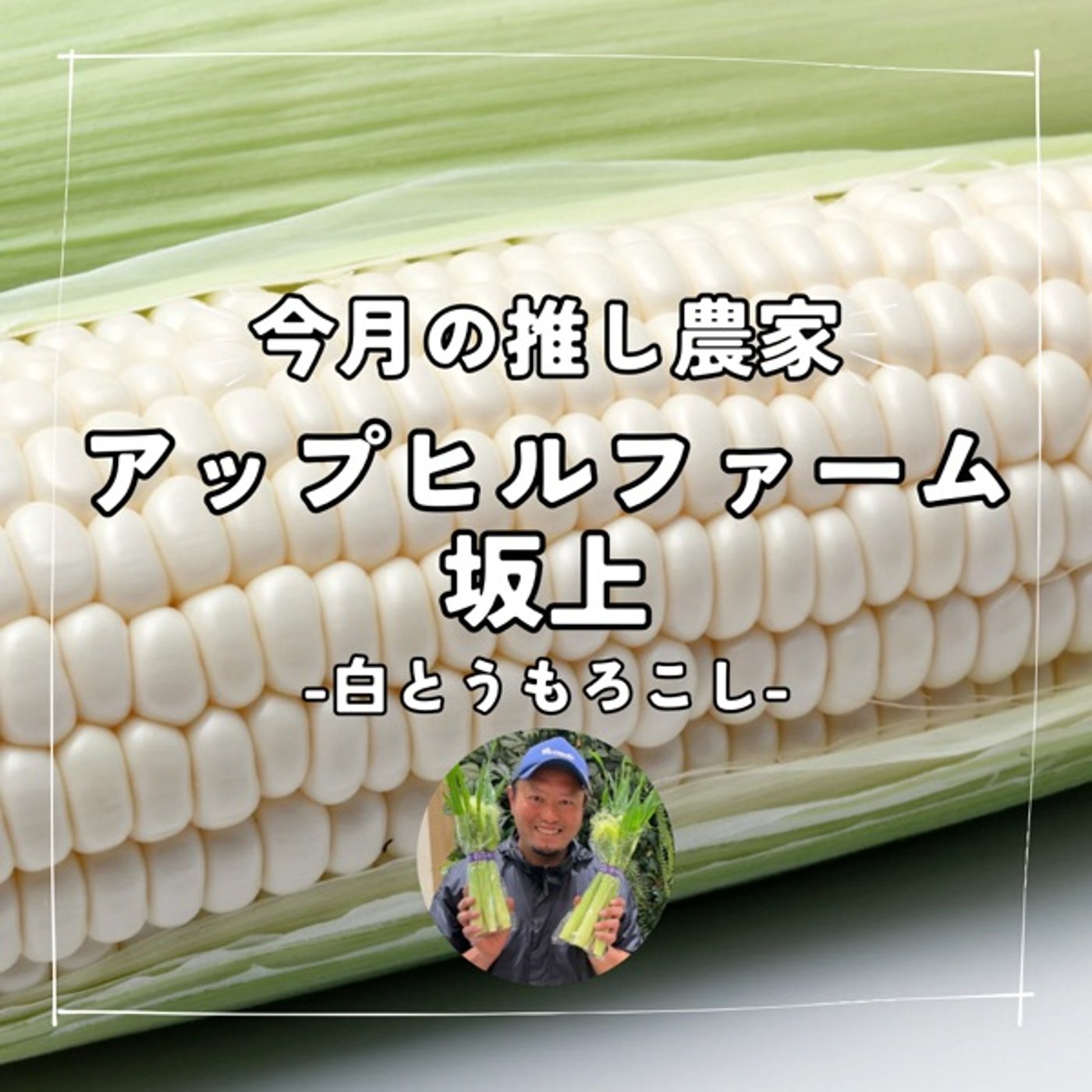 えっ‼️白いトウモロコシって、そんなに甘いの⁉️ episode artwork