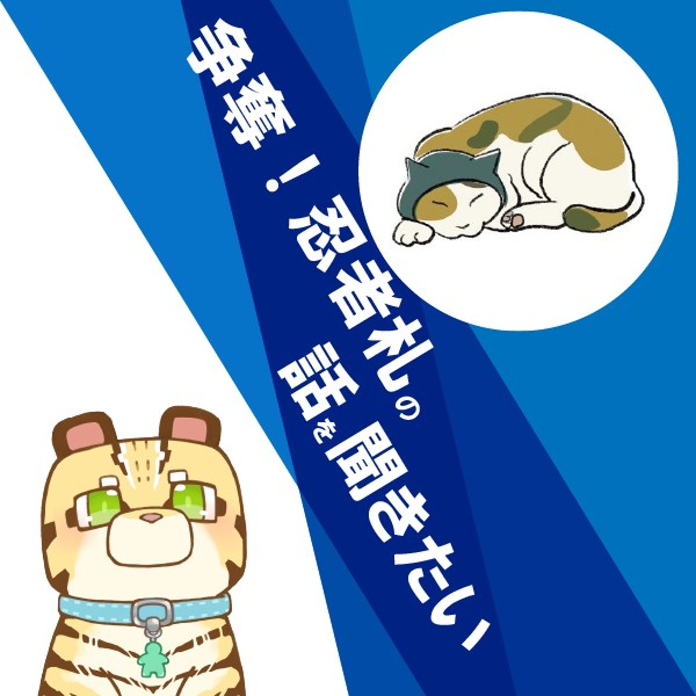#007 争奪！忍者札の話を聞きたい episode artwork