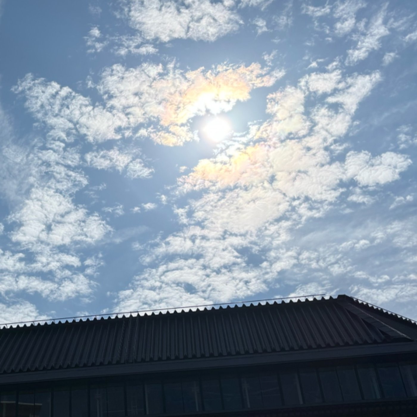 ご連絡も兼ねて。