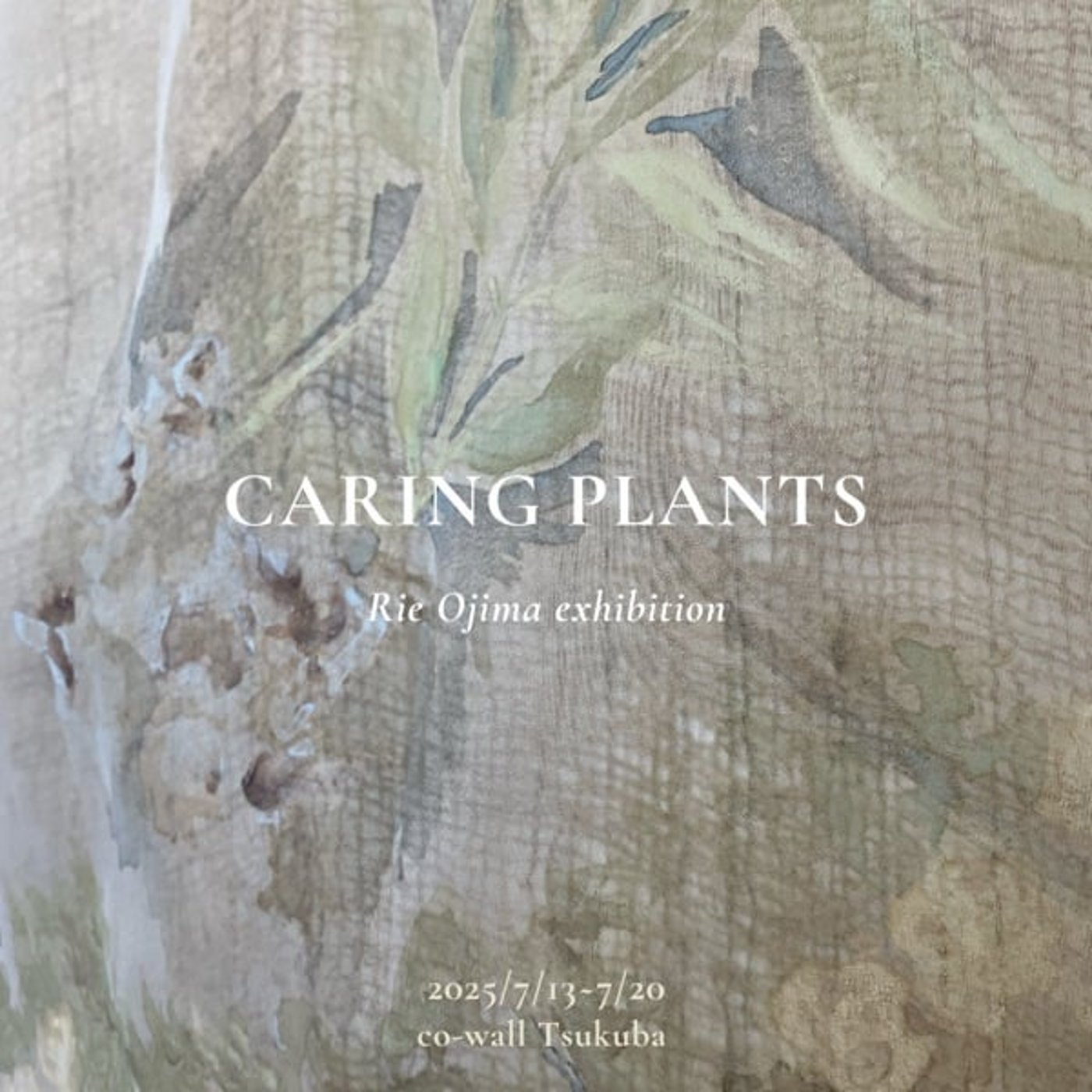 CARING PLANTS artist talk