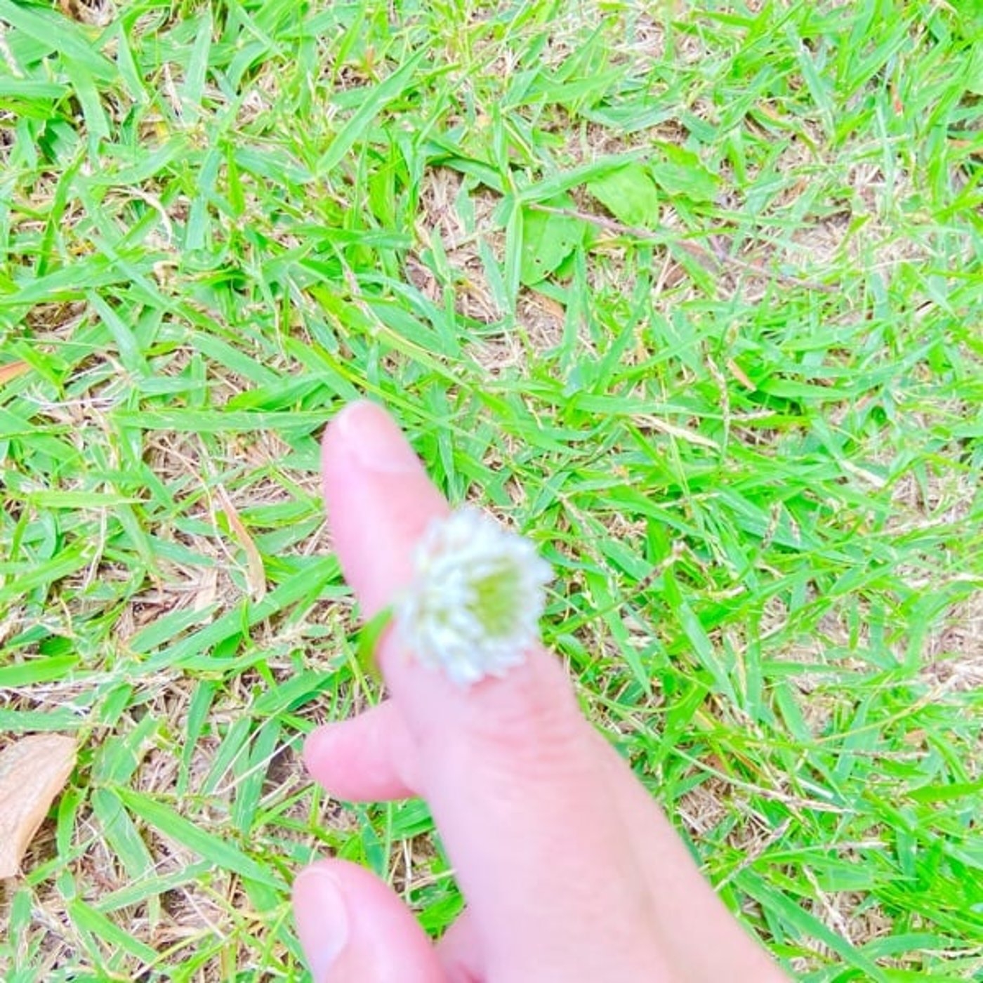 日常を紡ぐ✴︎ 心音