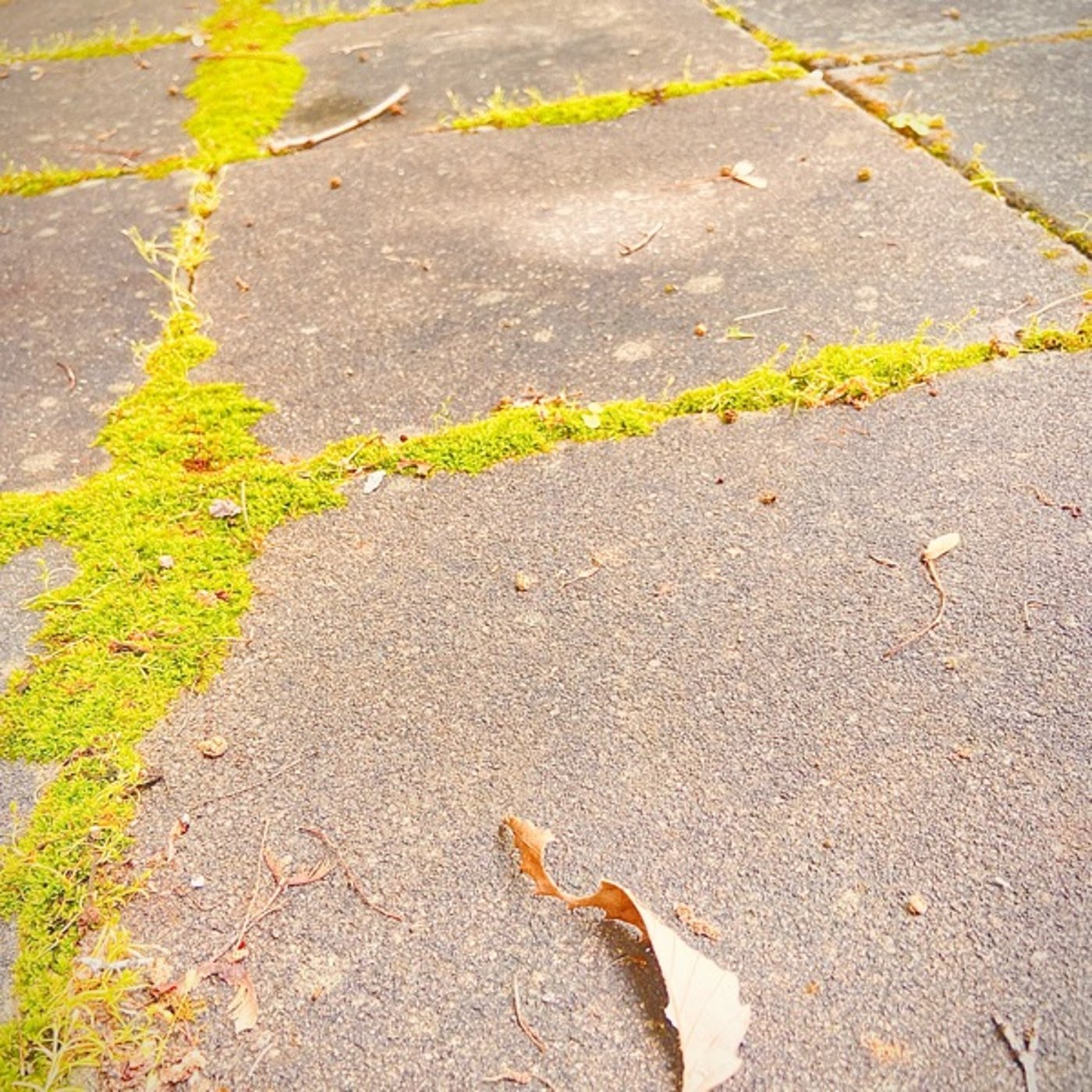 日常を紡ぐ✴︎ 心音