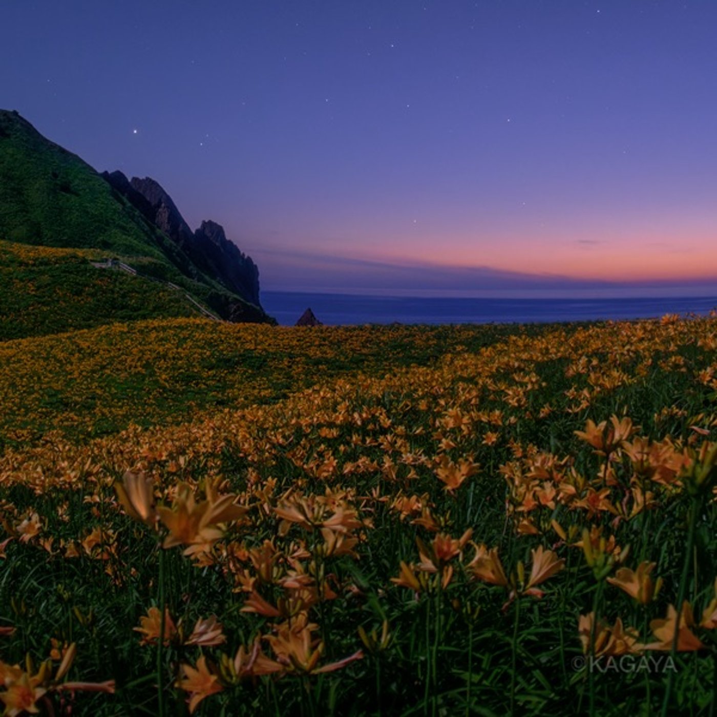 懐かしい話💐 懐かしい話💐