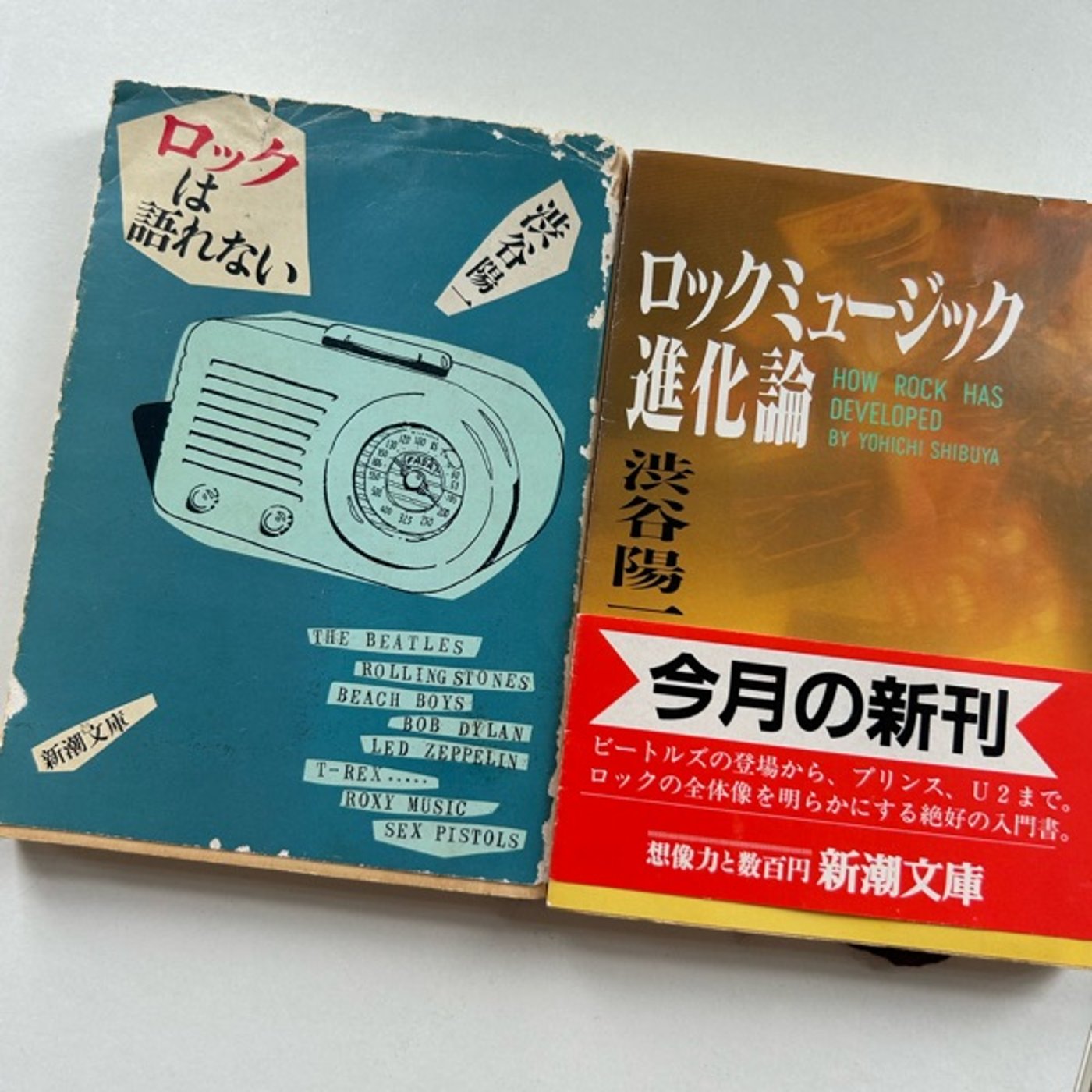 音読のススメ音楽評論家「渋谷陽一さんを偲んで」 episode artwork