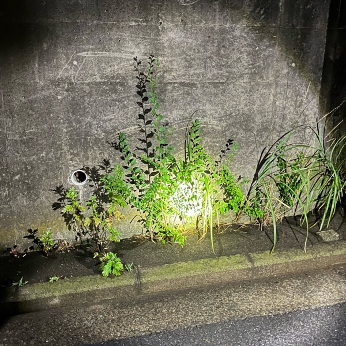 虚談_3_「何もしてないのに夜が来ました。これは心霊現象ですか？」 episode artwork