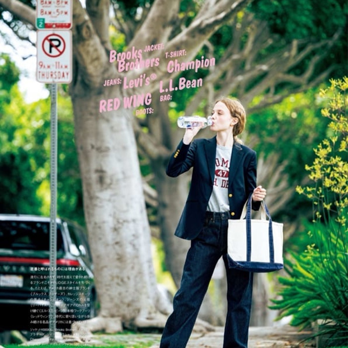 大事なご報告(つらい)とダニフォーマーズについて