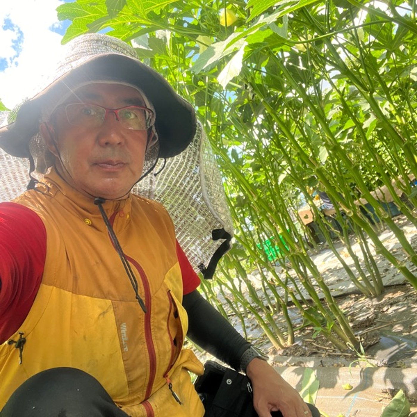 #461 鈴木農園さんで農業研修して参りました 暑さ対策は、空調服48Vで対応 episode artwork