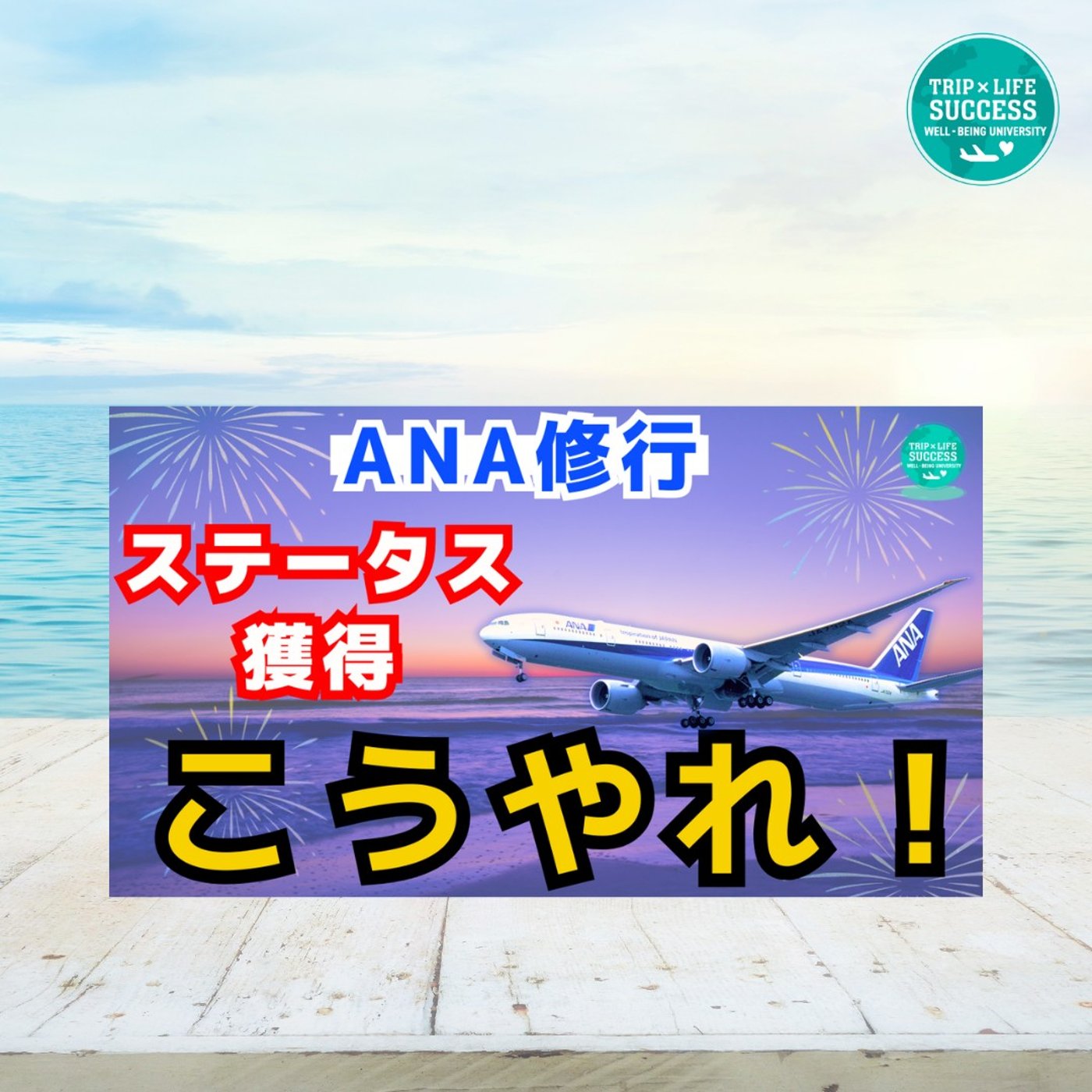 【ANA ステータス 修行】考え方とやり方、あり方を問う