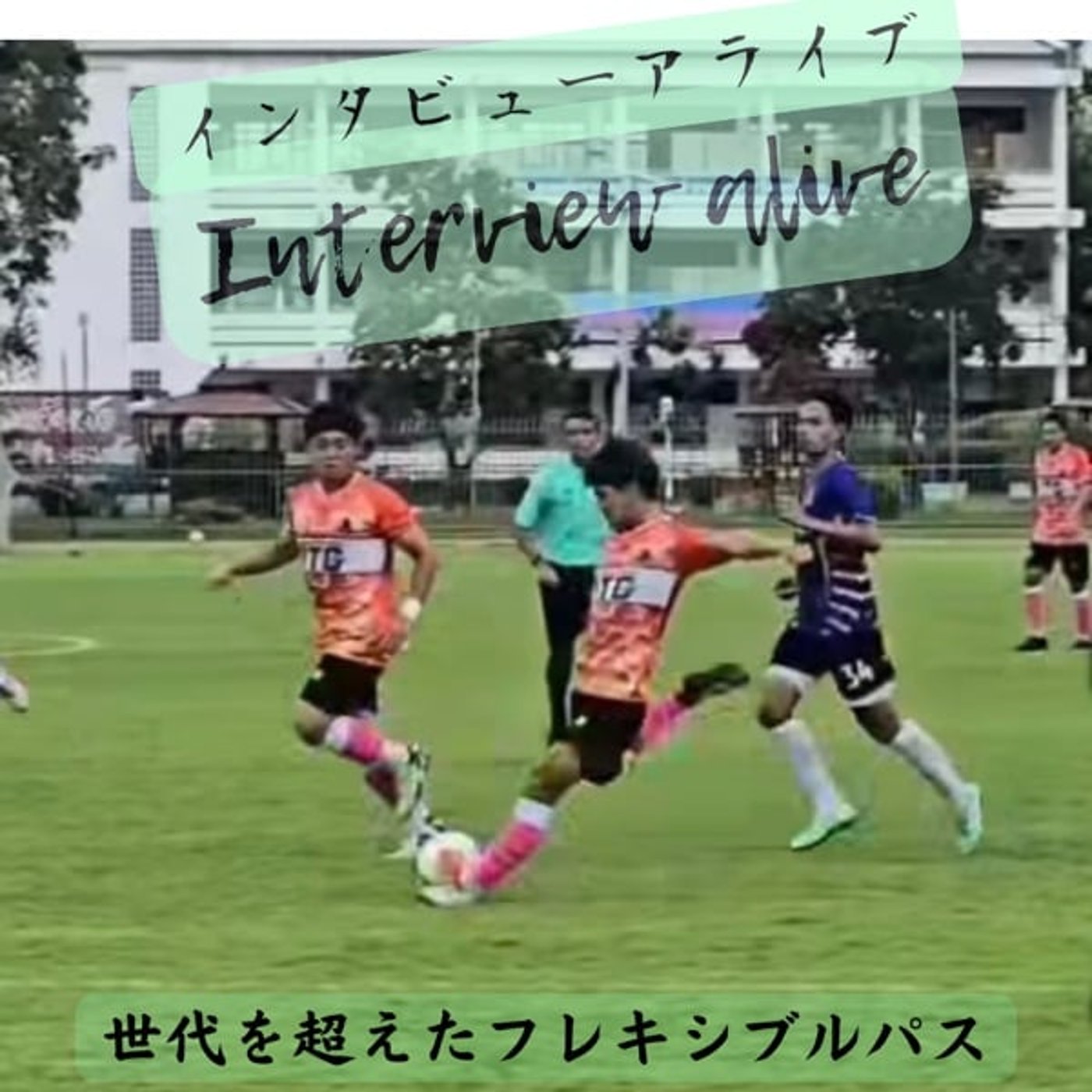 240 match 合🙆♂️ 240 match 合🙆♂️