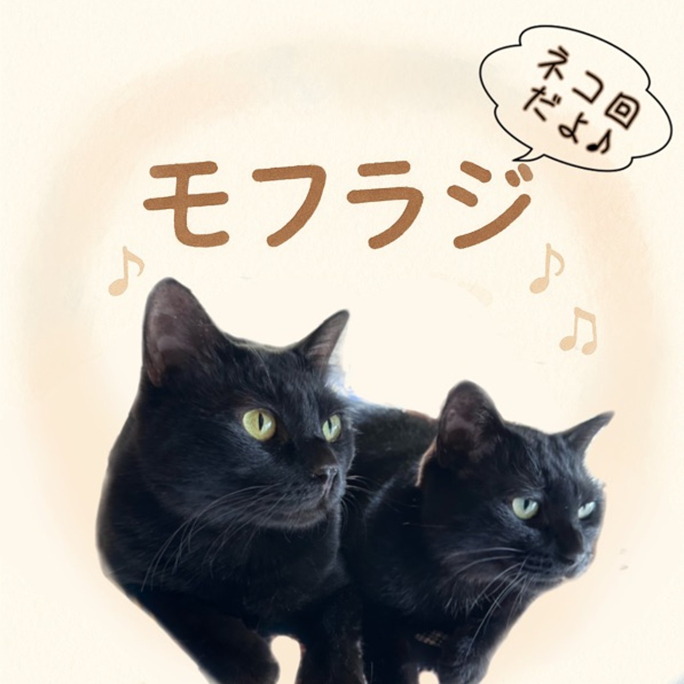 モフラジ VOL.2〜我が家の猫兄妹とイメージソング episode artwork