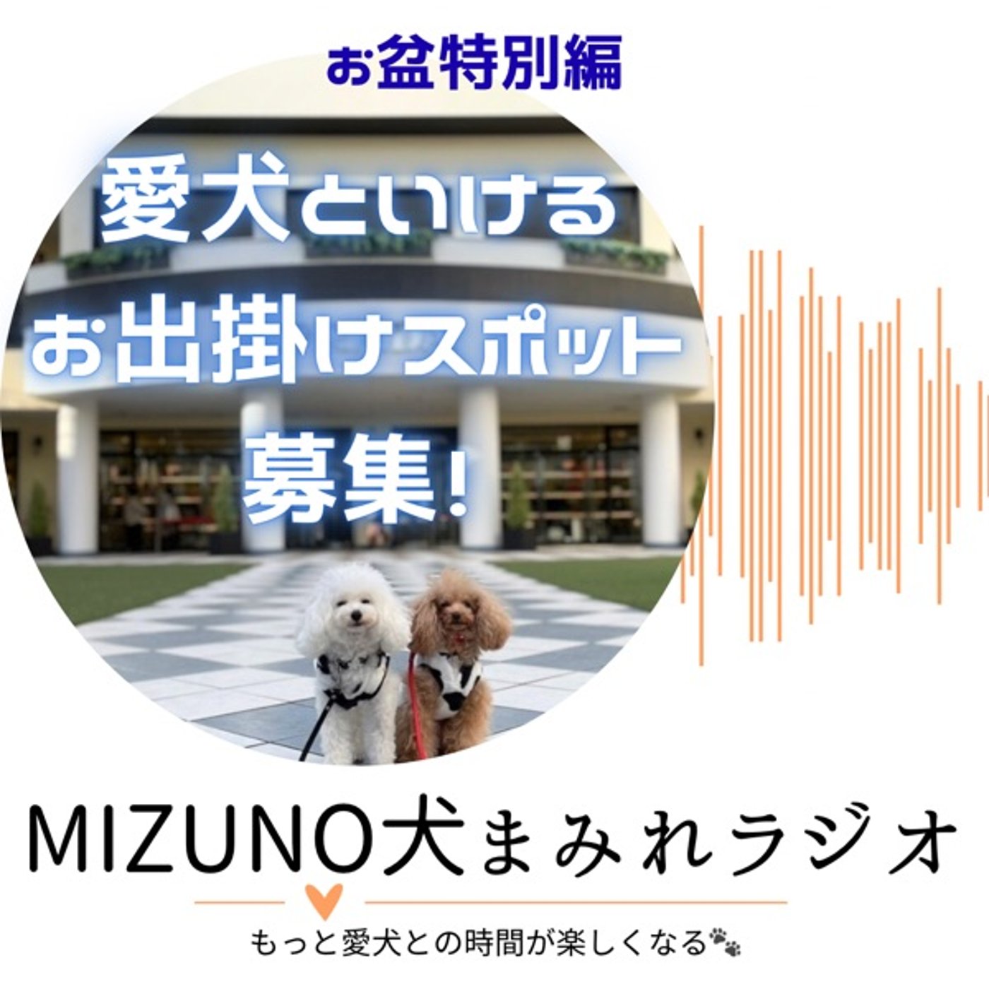 #10｜お盆特別！リスナー発・愛犬と行けるお出掛けスポット🐾 episode artwork