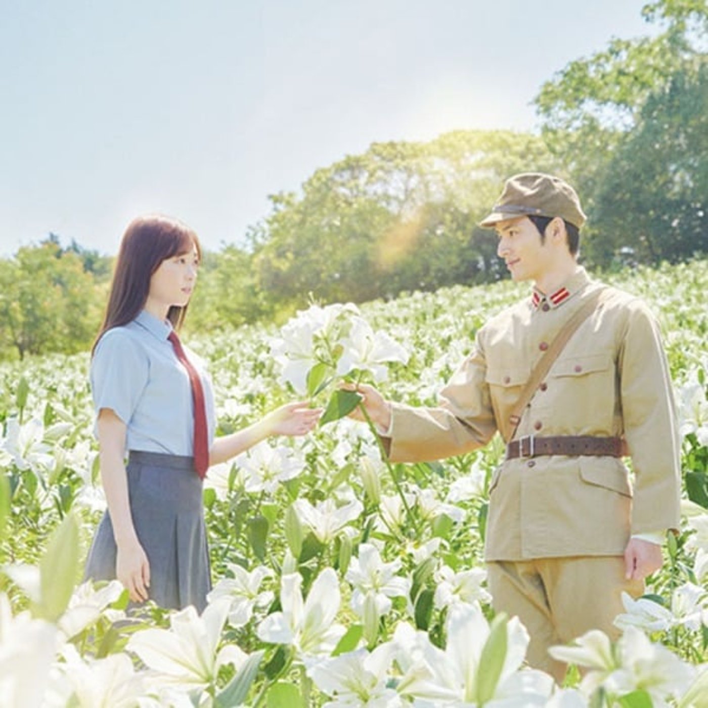 映画のススメ【あの花が咲く丘で君と出会えたら】