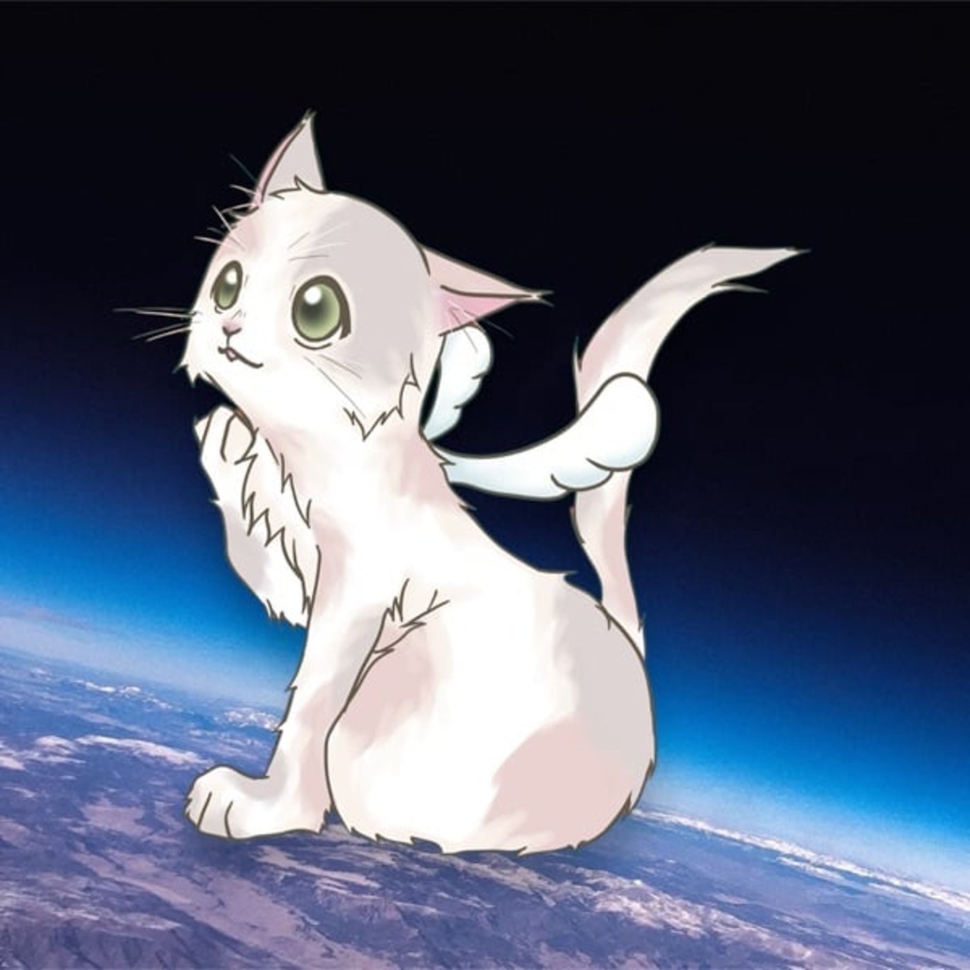 LIGHT THE LIGHTcover/桜井智さんへ届け→