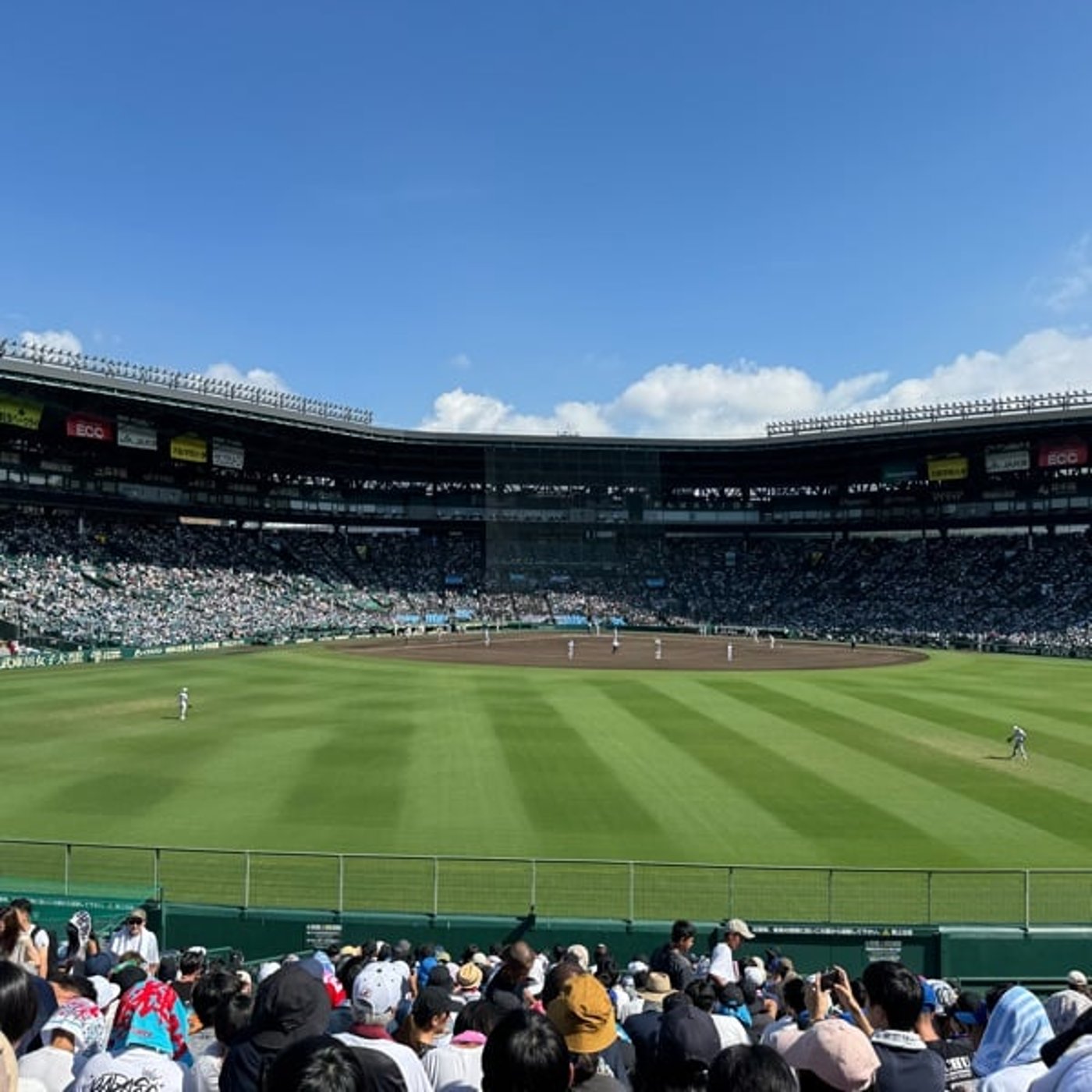 7月5日の予見の日に惑わされない