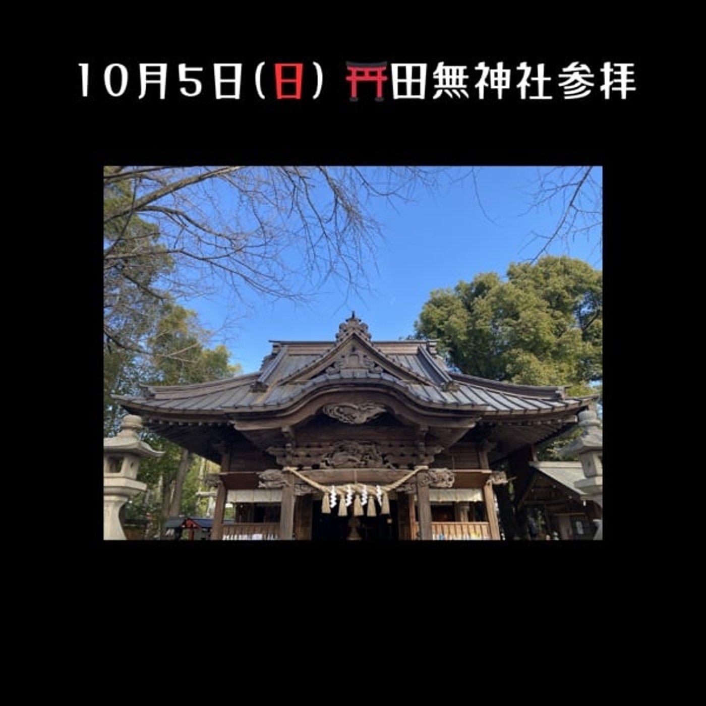 【神社紹介】⛩️田無神社／10月5日（日）