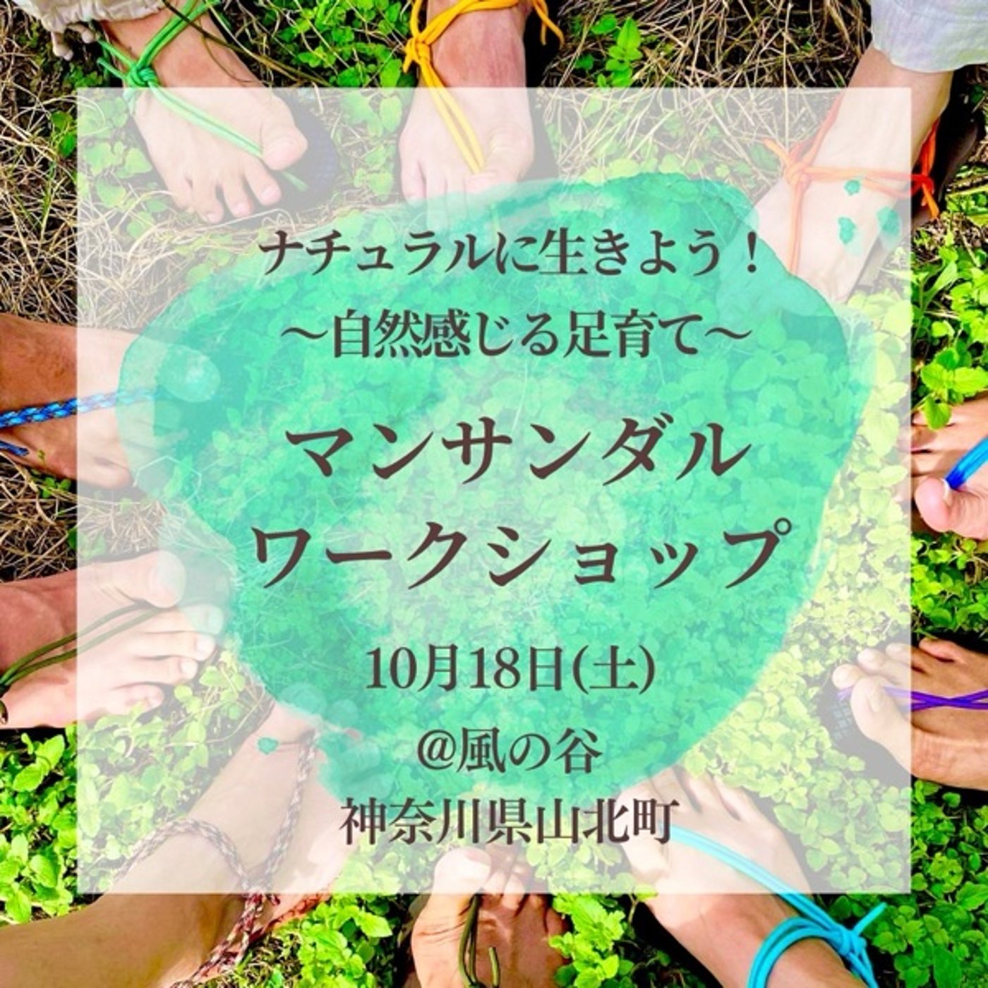 #1148 地面から頭の先まで意識を繋げる