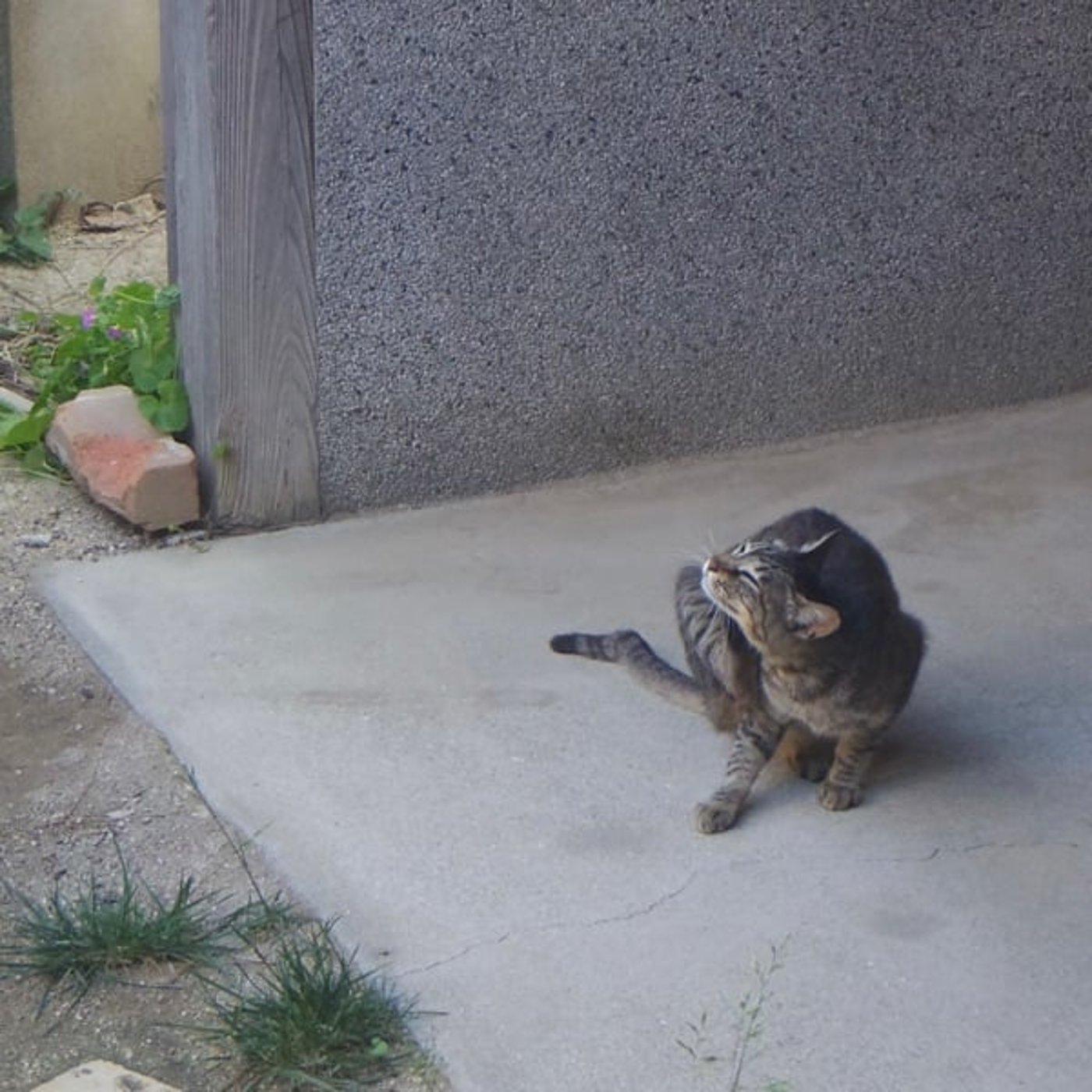 第143回 かき氷とヨガとカヤックだった夏 第143回 かき氷とヨガとカヤックだった夏