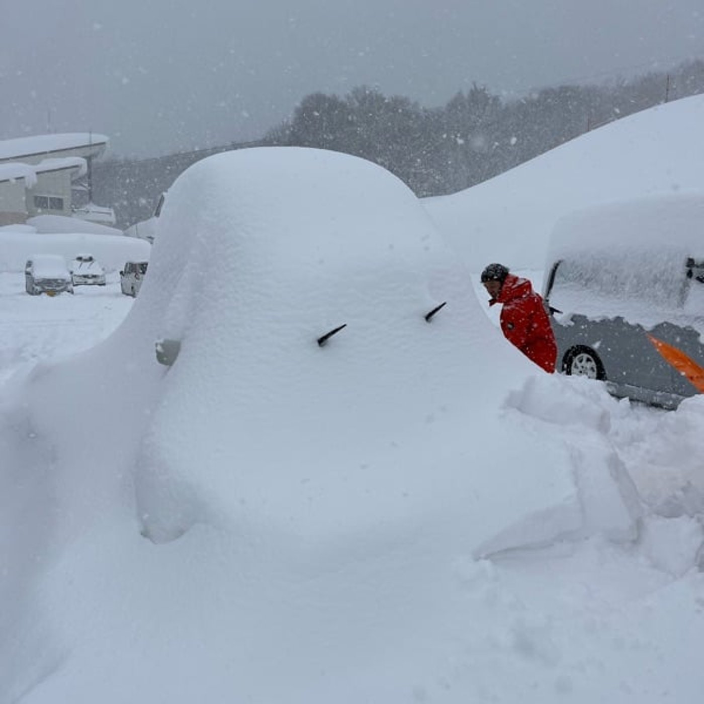 1149 【Snow talk】この冬の雪の降り始めを見極めてみよう