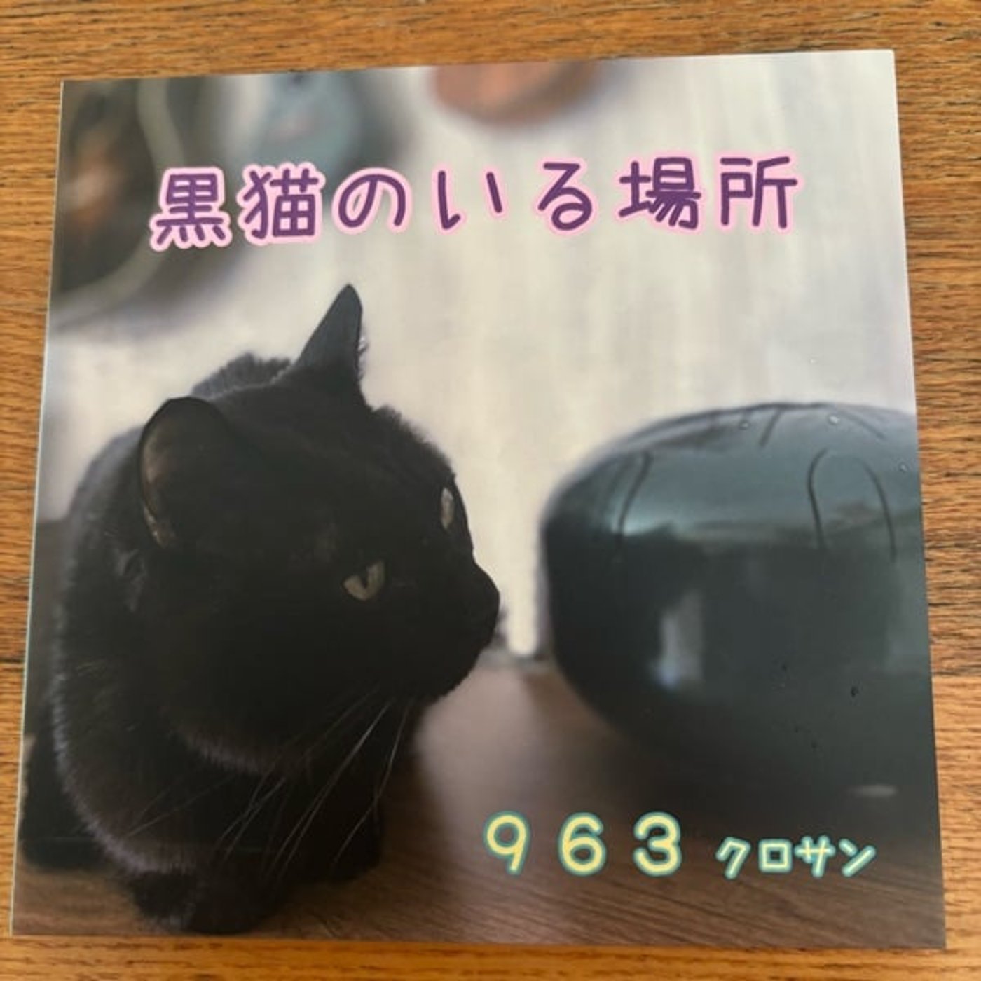 ゆきねこさんのライブ行ってきたよライブ episode artwork
