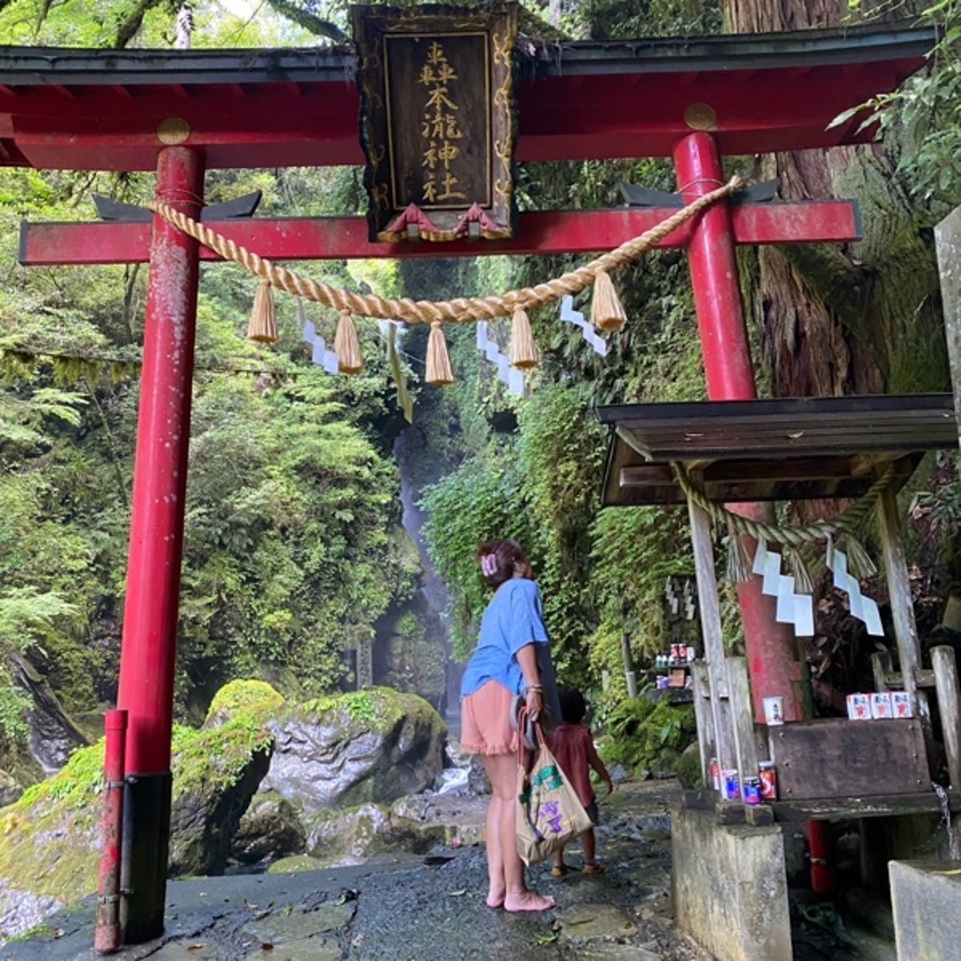 #011 おどろきもものきとどろき神社！！徳島県の轟の滝 episode artwork