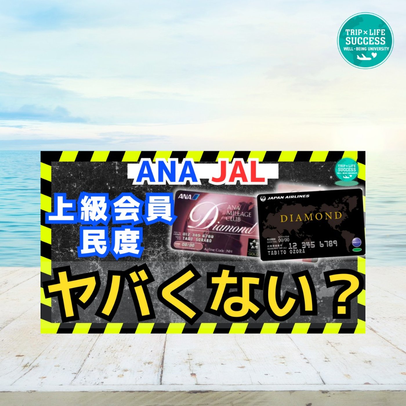 【ヒドい実態！】エアライン上級会員の民度を問う！ステータス とは一体・・・ episode artwork