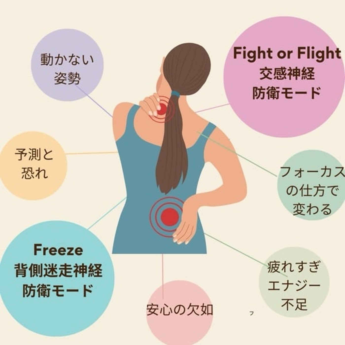 背中の硬さは神経系の防御のサイン！かも。
