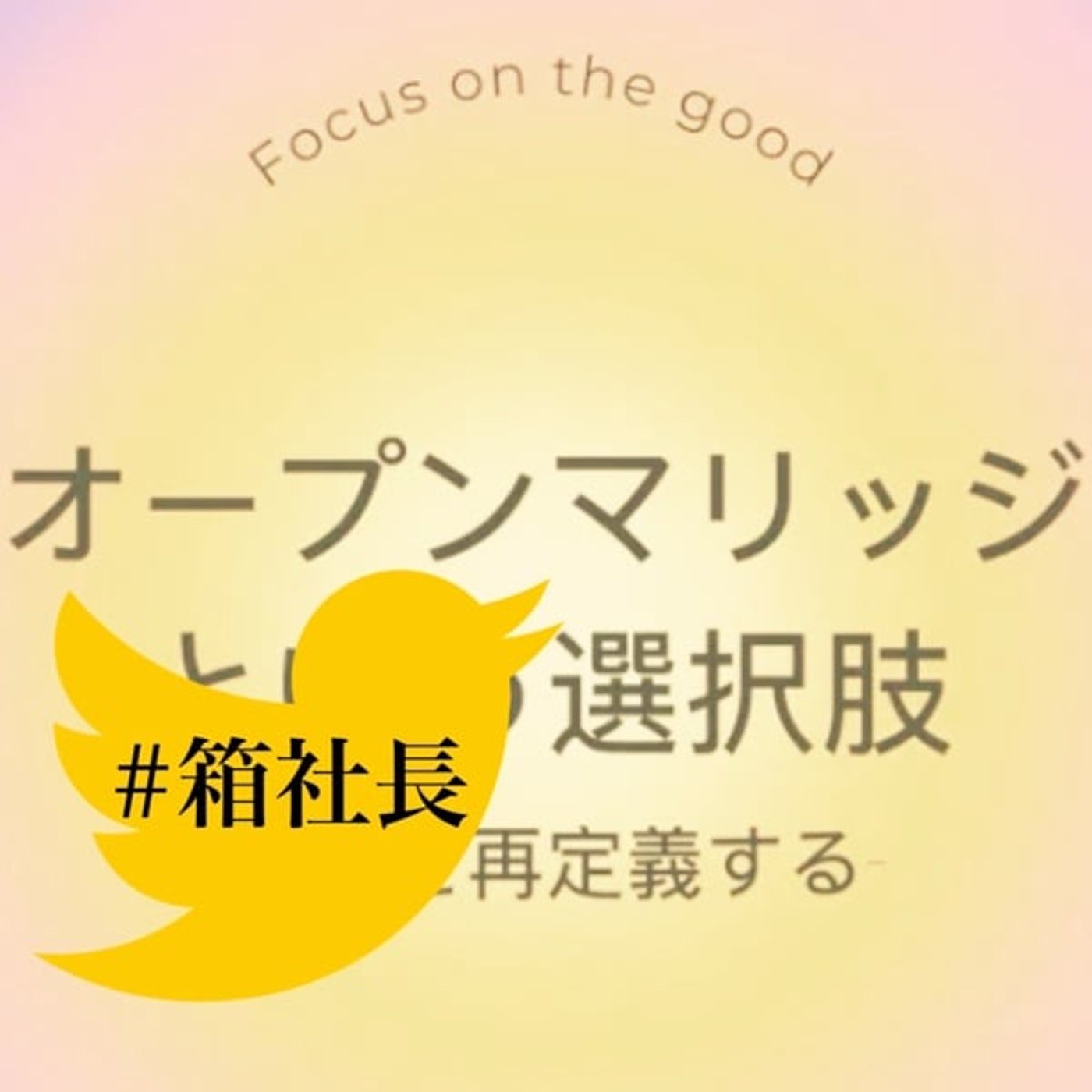 #箱843.オープンマリッジ！ヒカルさんとノアさん新しい結婚の形⁉︎