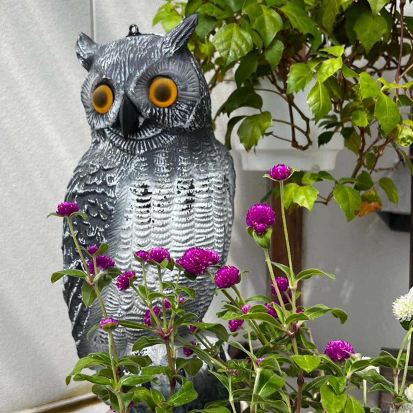 向かい風だけじゃ運の風向きは決められない episode artwork
