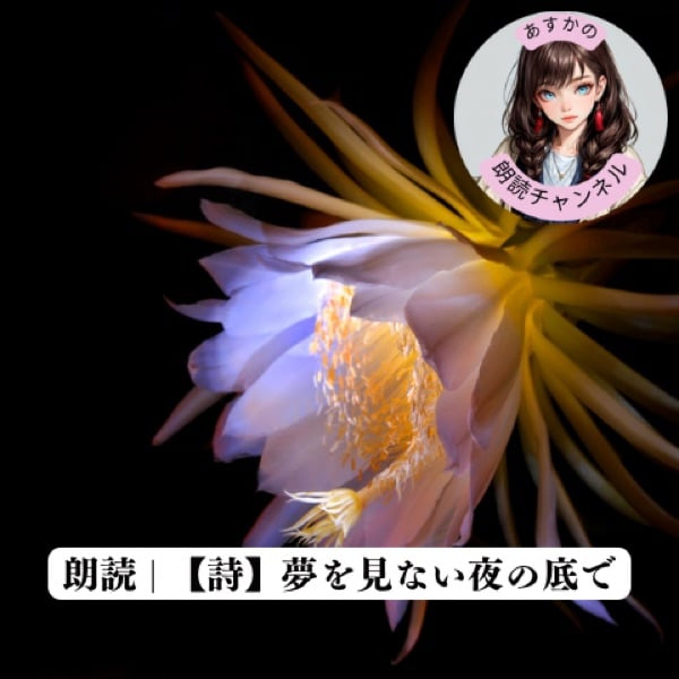 朗読 | 【詩】夢を見ない夜の底で